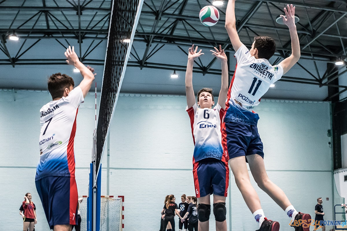 Półfinał Mistrzostw Polski Młodzików w Piłce Siatkowej Foto: materiały prasowe Półfinał Mistrzostw Polski Młodzików w Piłce Siatkowej Foto: materiały prasowe