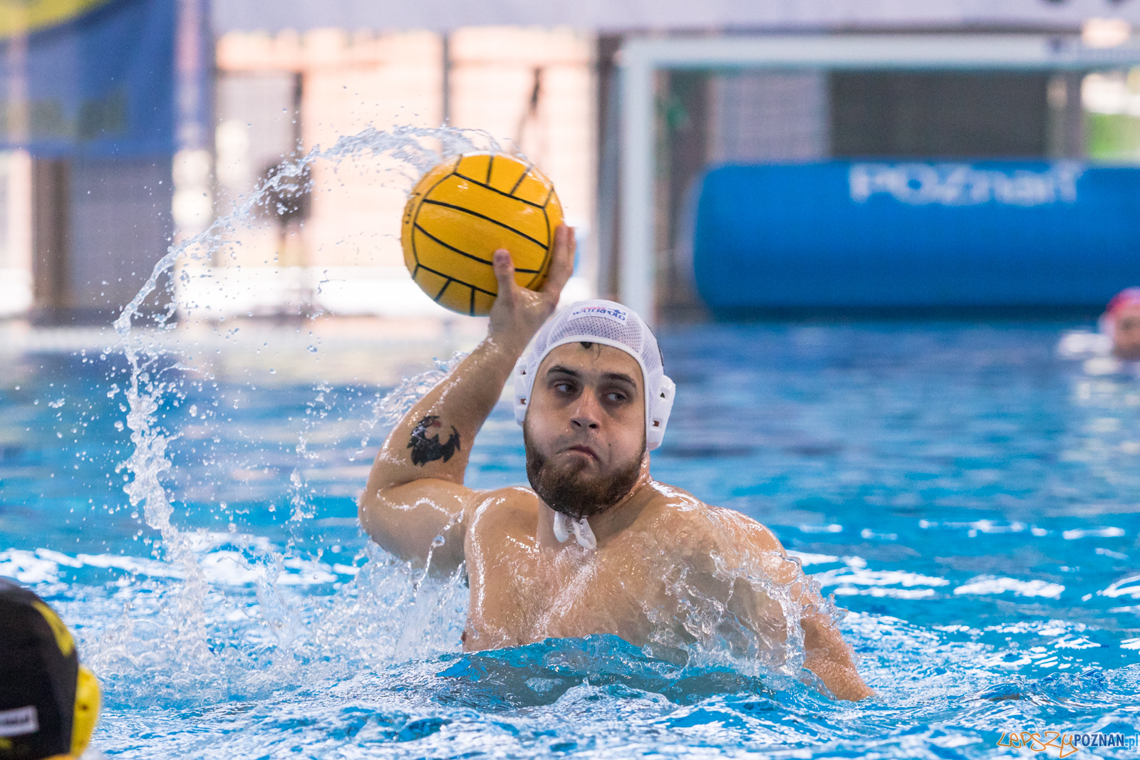 KS Waterpolo Poznań – ŁUKOSZ WTS Polonia Bytom Foto: lepszyPOZNAN.pl/Piotr Rychter KS Waterpolo Poznań – ŁUKOSZ WTS Polonia Bytom Foto: lepszyPOZNAN.pl/Piotr Rychter