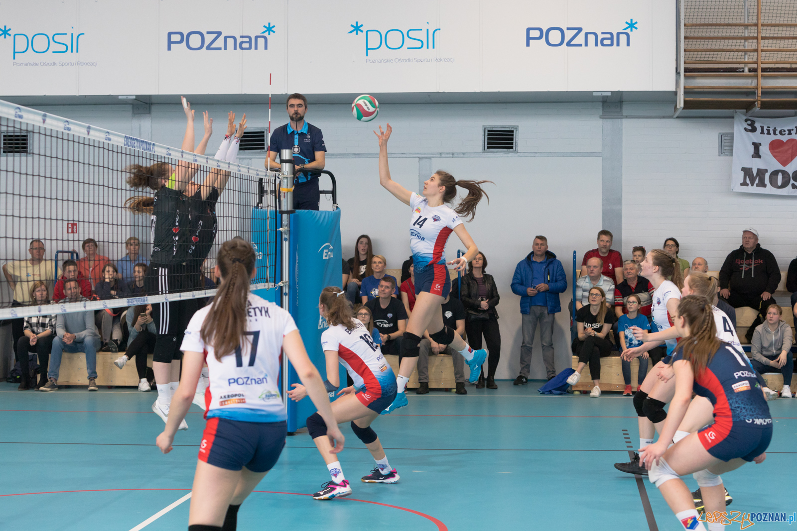 Półfinał Mistrzostw Polski w Piłce Siatkowej Kadetek Foto: lepszyPOZNAN.pl/Piotr Rychter Półfinał Mistrzostw Polski w Piłce Siatkowej Kadetek Foto: lepszyPOZNAN.pl/Piotr Rychter