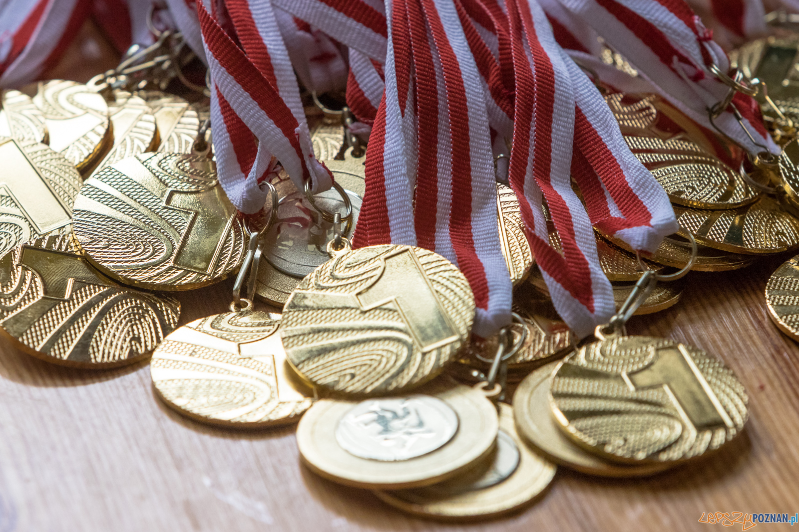 Tuniej Wielkanocny - Zapasy Styl Klasyczny/Zapasy Kobiet Foto: lepszyPOZNAN.pl/Piotr Rychter Tuniej Wielkanocny - Zapasy Styl Klasyczny/Zapasy Kobiet Foto: lepszyPOZNAN.pl/Piotr Rychter