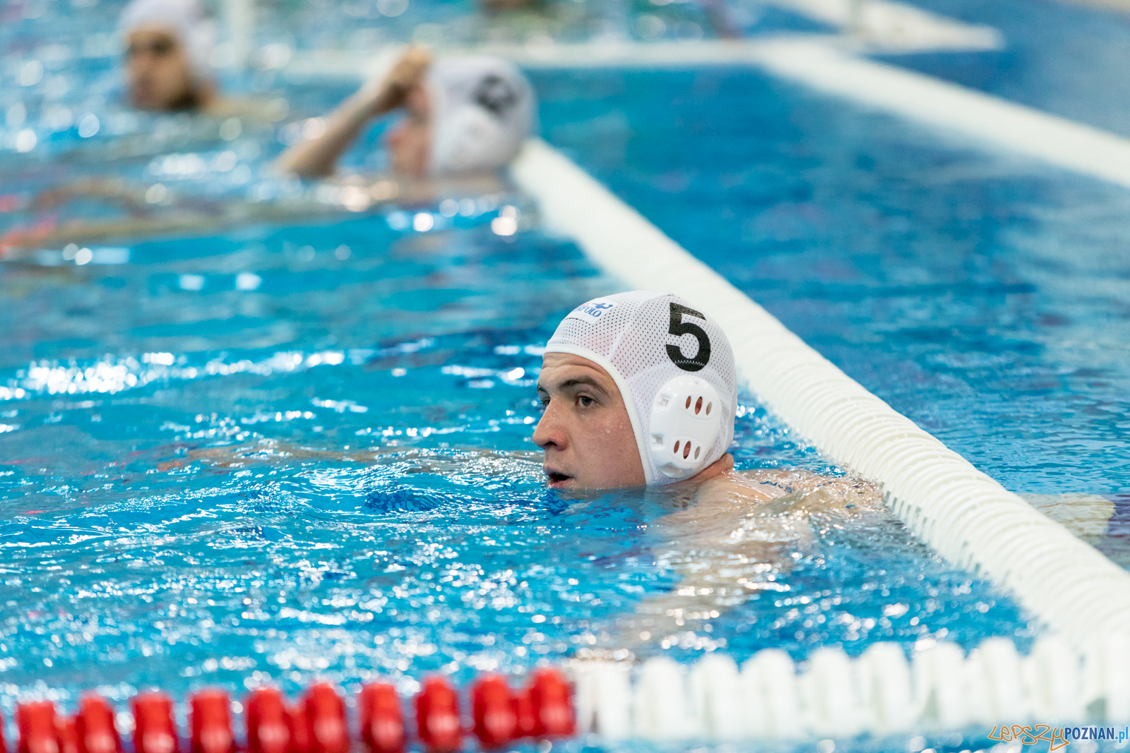 KS Waterpolo Poznań – OCMER ŁSTW Łódź Foto: lepszyPOZNAN.pl/Piotr Rychter KS Waterpolo Poznań – OCMER ŁSTW Łódź Foto: lepszyPOZNAN.pl/Piotr Rychter