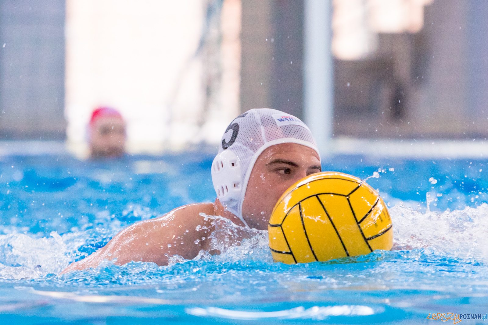 KS Waterpolo Poznań – ŁUKOSZ WTS Polonia Bytom Foto: lepszyPOZNAN.pl/Piotr Rychter KS Waterpolo Poznań – ŁUKOSZ WTS Polonia Bytom Foto: lepszyPOZNAN.pl/Piotr Rychter
