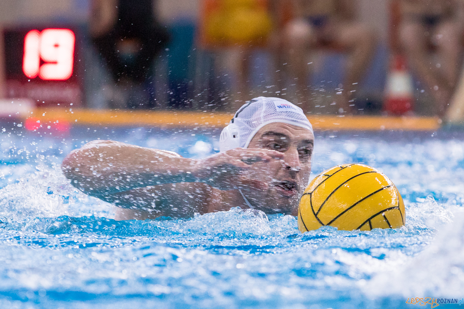 KS Waterpolo Poznań – ŁUKOSZ WTS Polonia Bytom Foto: lepszyPOZNAN.pl/Piotr Rychter KS Waterpolo Poznań – ŁUKOSZ WTS Polonia Bytom Foto: lepszyPOZNAN.pl/Piotr Rychter