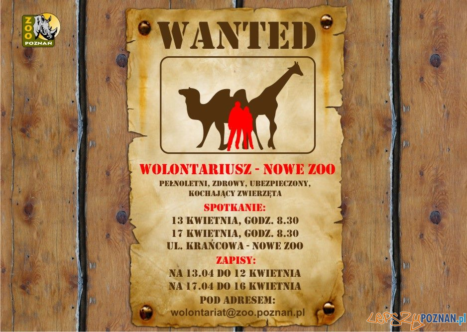 WOlontariusze w zoo potrzebni Foto: materiały prasowe WOlontariusze w zoo potrzebni Foto: materiały prasowe