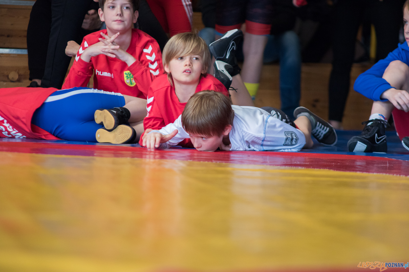 Turniej Wielkanocny KS Sobieski Foto: lepszyPOZNAN.pl / Ewelina Jaśkowiak Turniej Wielkanocny KS Sobieski Foto: lepszyPOZNAN.pl / Ewelina Jaśkowiak