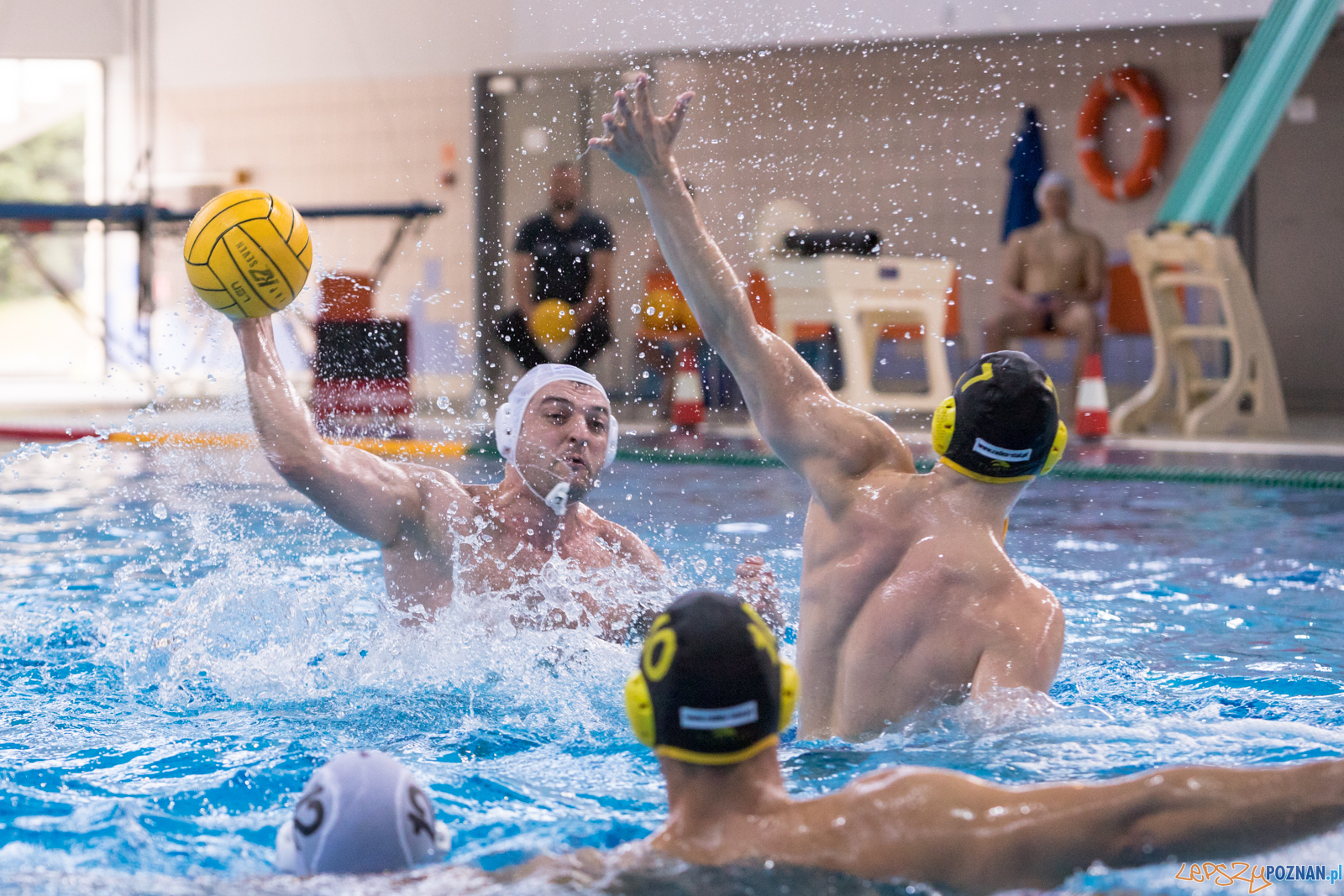 KS Waterpolo Poznań – ŁUKOSZ WTS Polonia Bytom Foto: lepszyPOZNAN.pl/Piotr Rychter KS Waterpolo Poznań – ŁUKOSZ WTS Polonia Bytom Foto: lepszyPOZNAN.pl/Piotr Rychter