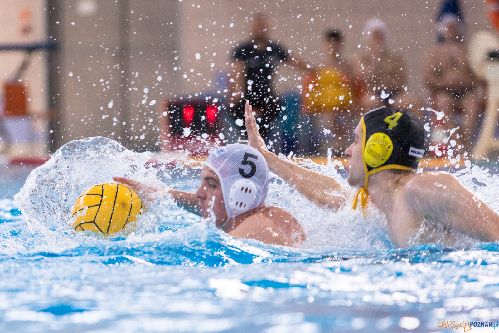KS Waterpolo Poznań – ŁUKOSZ WTS Polonia Bytom Foto: lepszyPOZNAN.pl/Piotr Rychter KS Waterpolo Poznań – ŁUKOSZ WTS Polonia Bytom Foto: lepszyPOZNAN.pl/Piotr Rychter