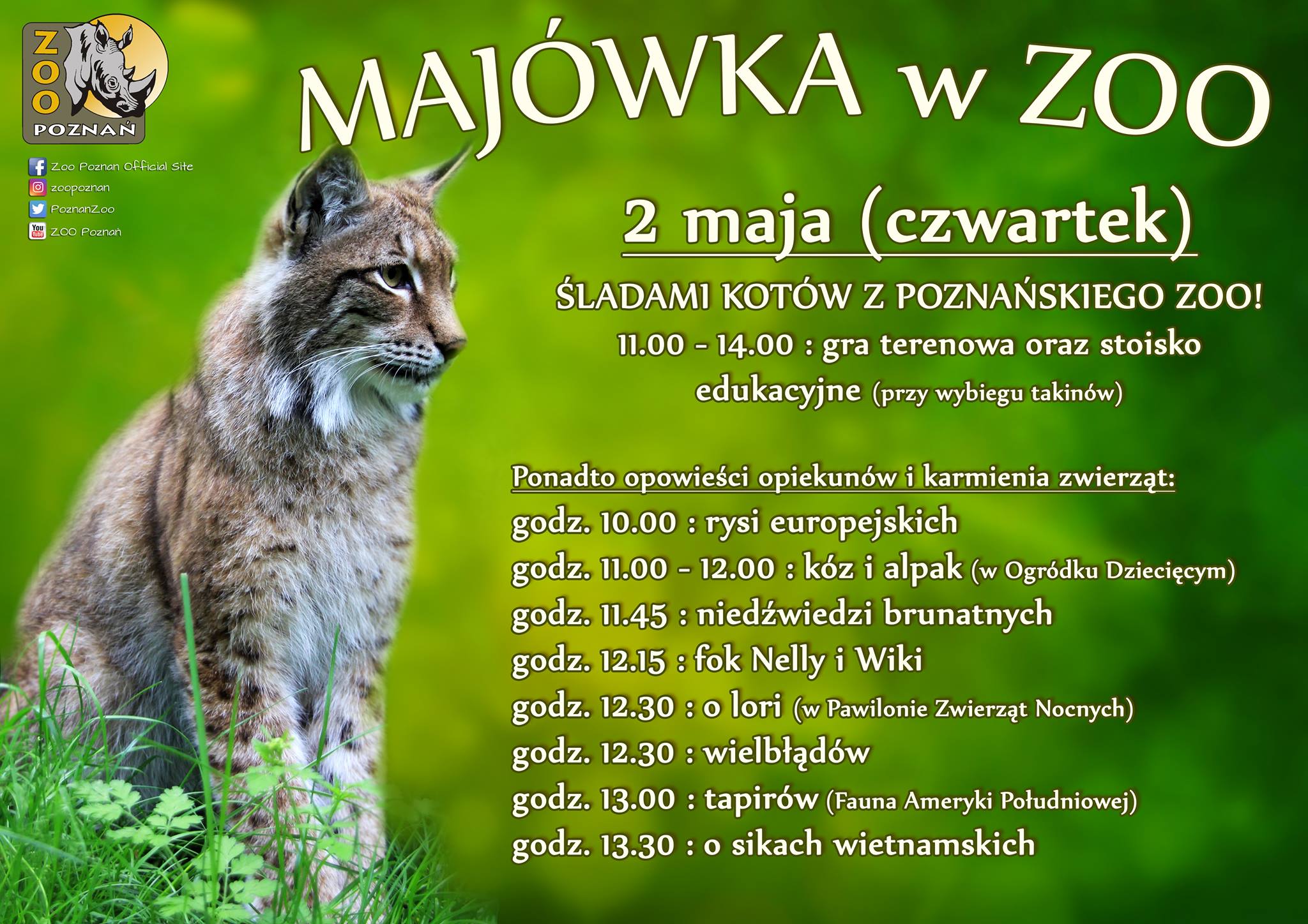 Majówka w Zoo Foto: materiały prasowe Majówka w Zoo Foto: materiały prasowe