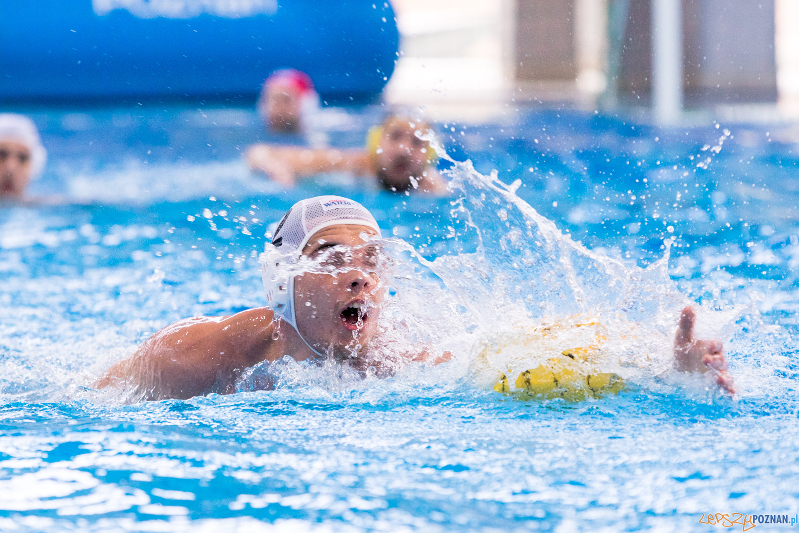 KS Waterpolo Poznań – ŁUKOSZ WTS Polonia Bytom Foto: lepszyPOZNAN.pl/Piotr Rychter KS Waterpolo Poznań – ŁUKOSZ WTS Polonia Bytom Foto: lepszyPOZNAN.pl/Piotr Rychter