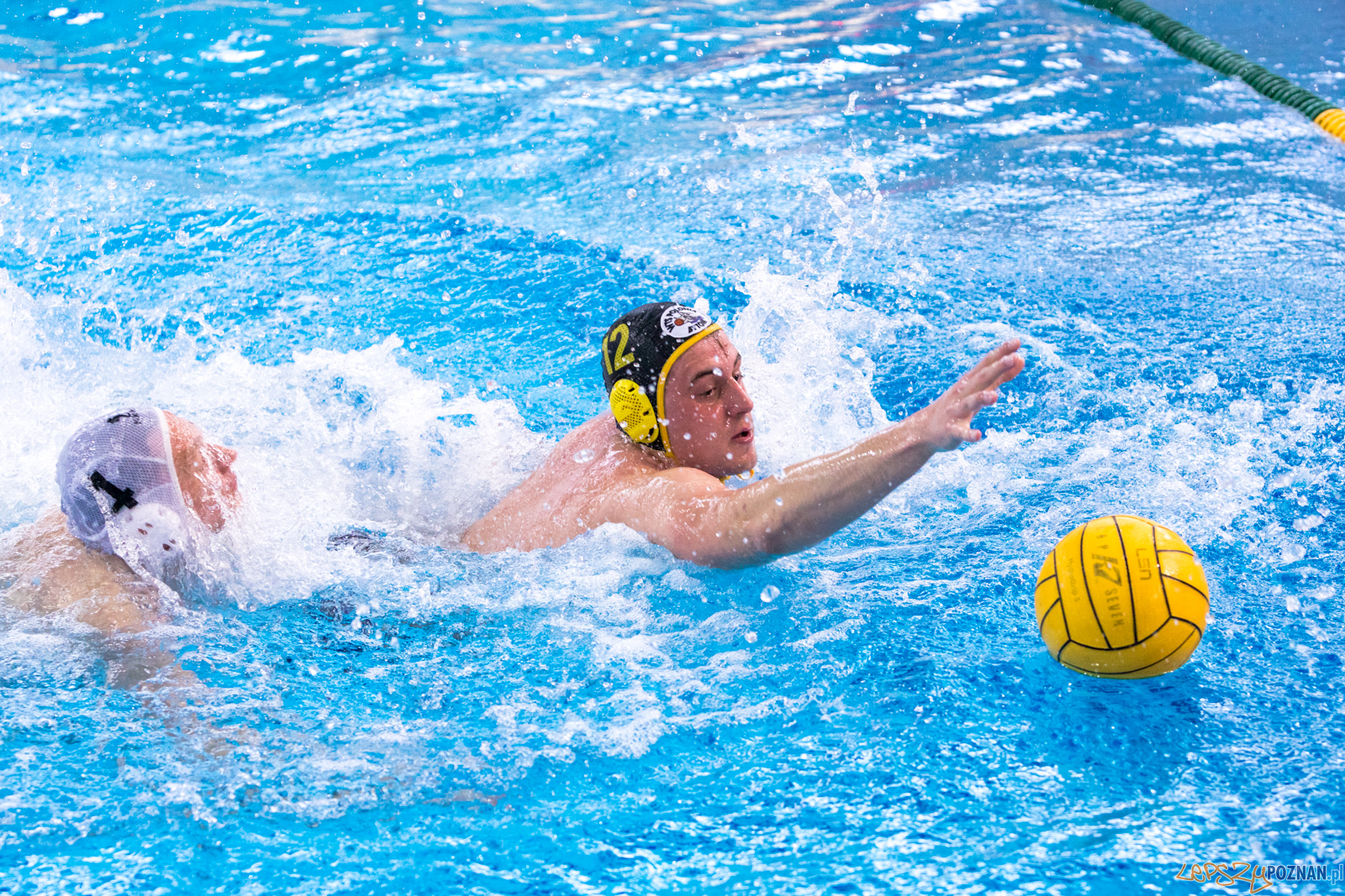 KS Waterpolo Poznań – ŁUKOSZ WTS Polonia Bytom Foto: lepszyPOZNAN.pl/Piotr Rychter KS Waterpolo Poznań – ŁUKOSZ WTS Polonia Bytom Foto: lepszyPOZNAN.pl/Piotr Rychter