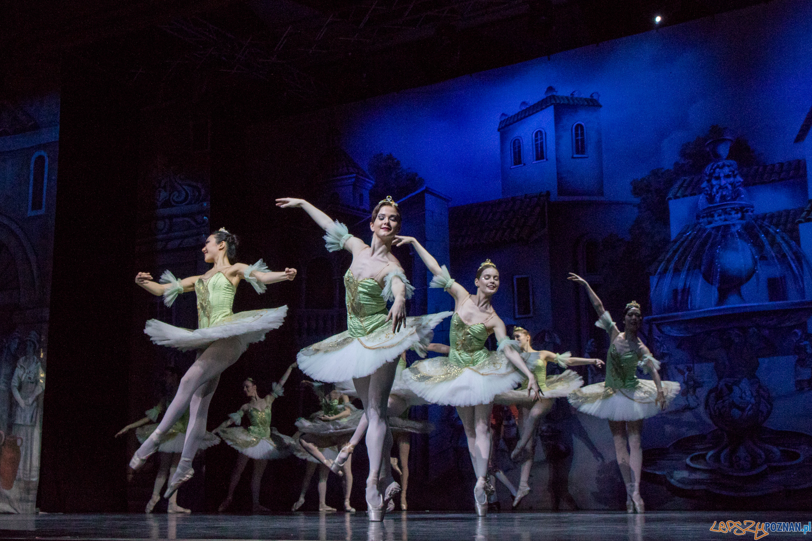 Don Kichot Foto: lepszyPOZNAN.pl / Ewelina Jaśkowiak Don Kichot Foto: lepszyPOZNAN.pl / Ewelina Jaśkowiak