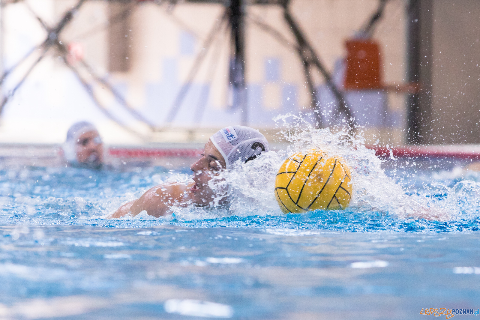 KS Waterpolo Poznań – ŁUKOSZ WTS Polonia Bytom Foto: lepszyPOZNAN.pl/Piotr Rychter KS Waterpolo Poznań – ŁUKOSZ WTS Polonia Bytom Foto: lepszyPOZNAN.pl/Piotr Rychter