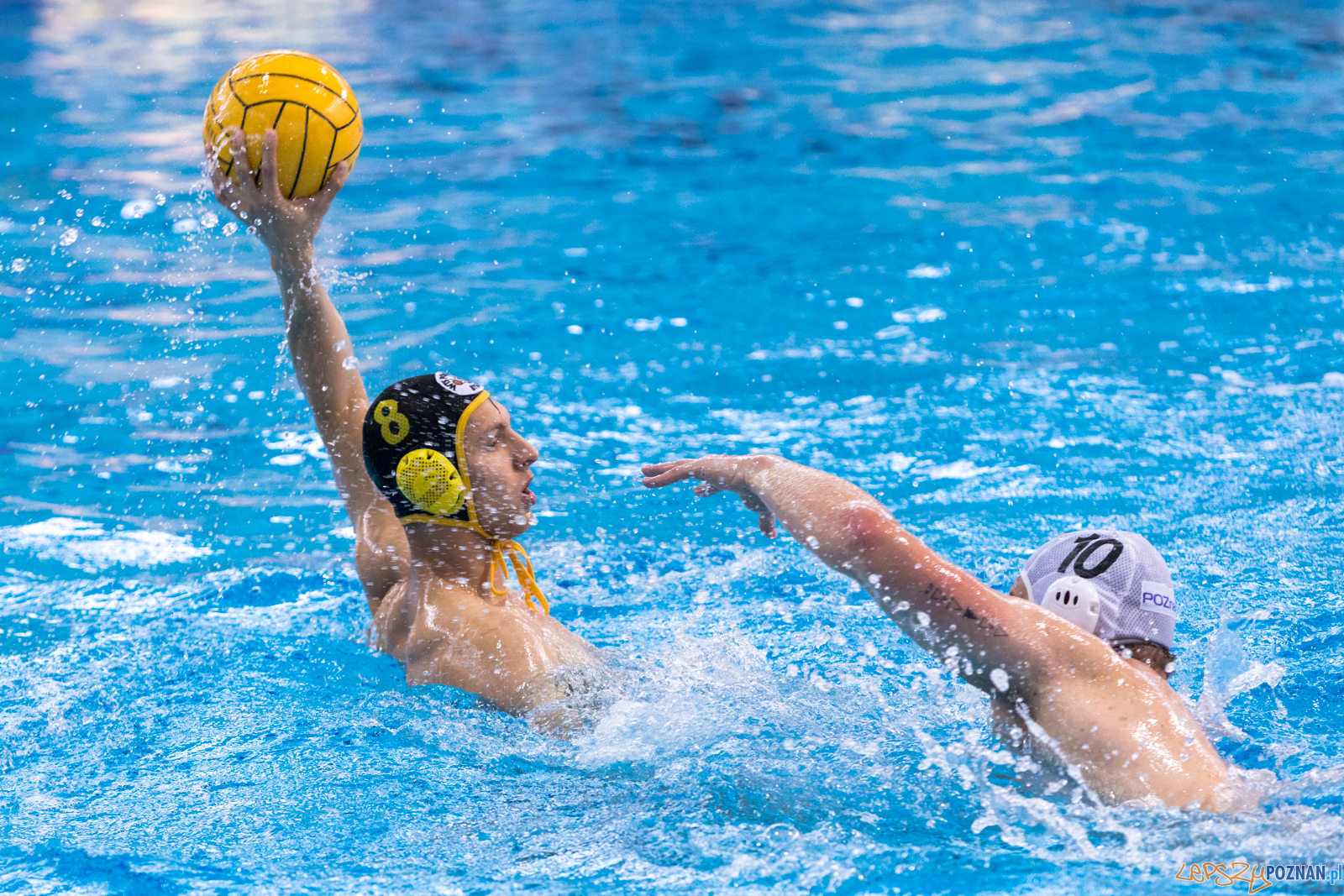 KS Waterpolo Poznań – ŁUKOSZ WTS Polonia Bytom Foto: lepszyPOZNAN.pl/Piotr Rychter KS Waterpolo Poznań – ŁUKOSZ WTS Polonia Bytom Foto: lepszyPOZNAN.pl/Piotr Rychter
