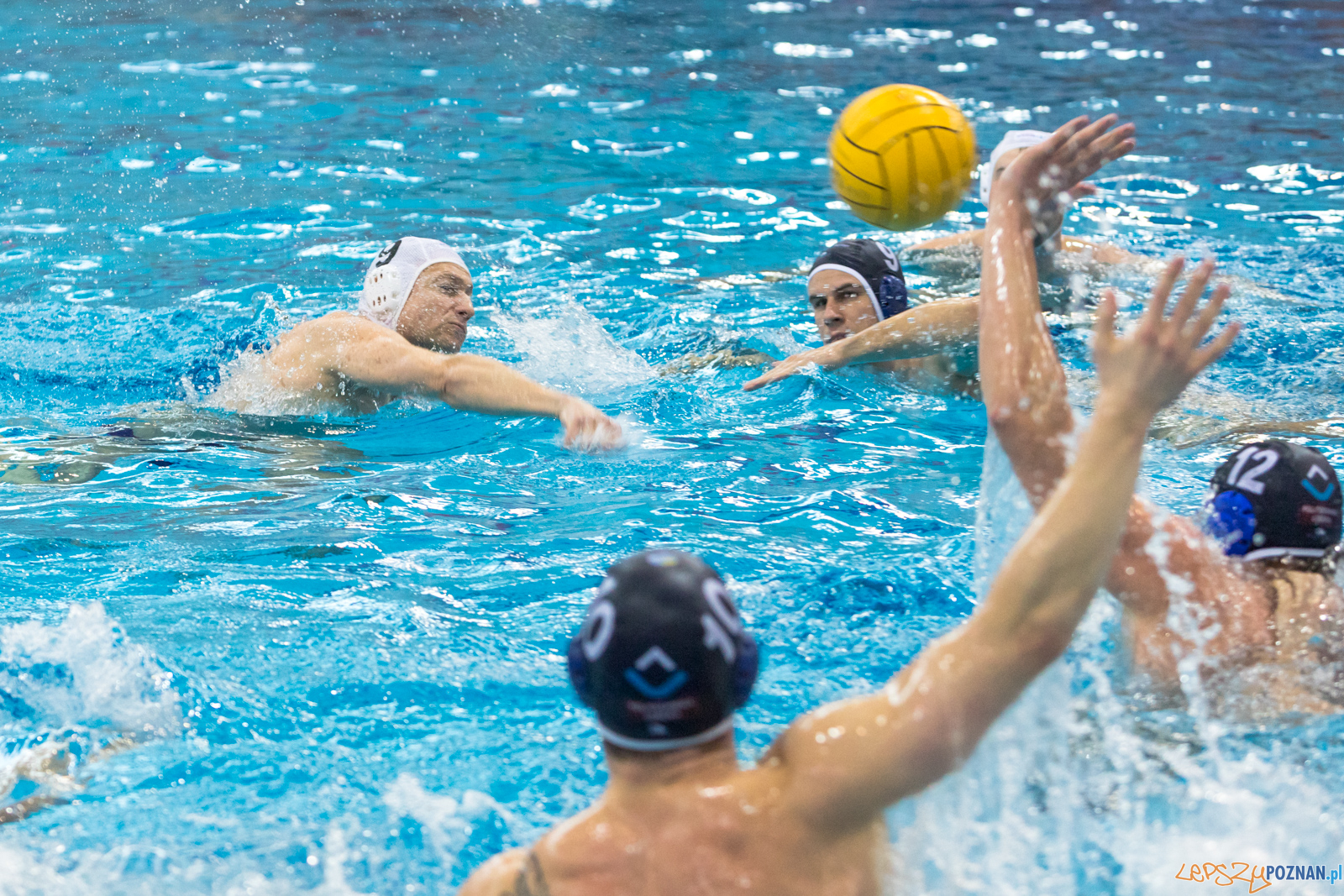 KS Waterpolo Poznań – OCMER ŁSTW Łódź Foto: lepszyPOZNAN.pl/Piotr Rychter KS Waterpolo Poznań – OCMER ŁSTW Łódź Foto: lepszyPOZNAN.pl/Piotr Rychter