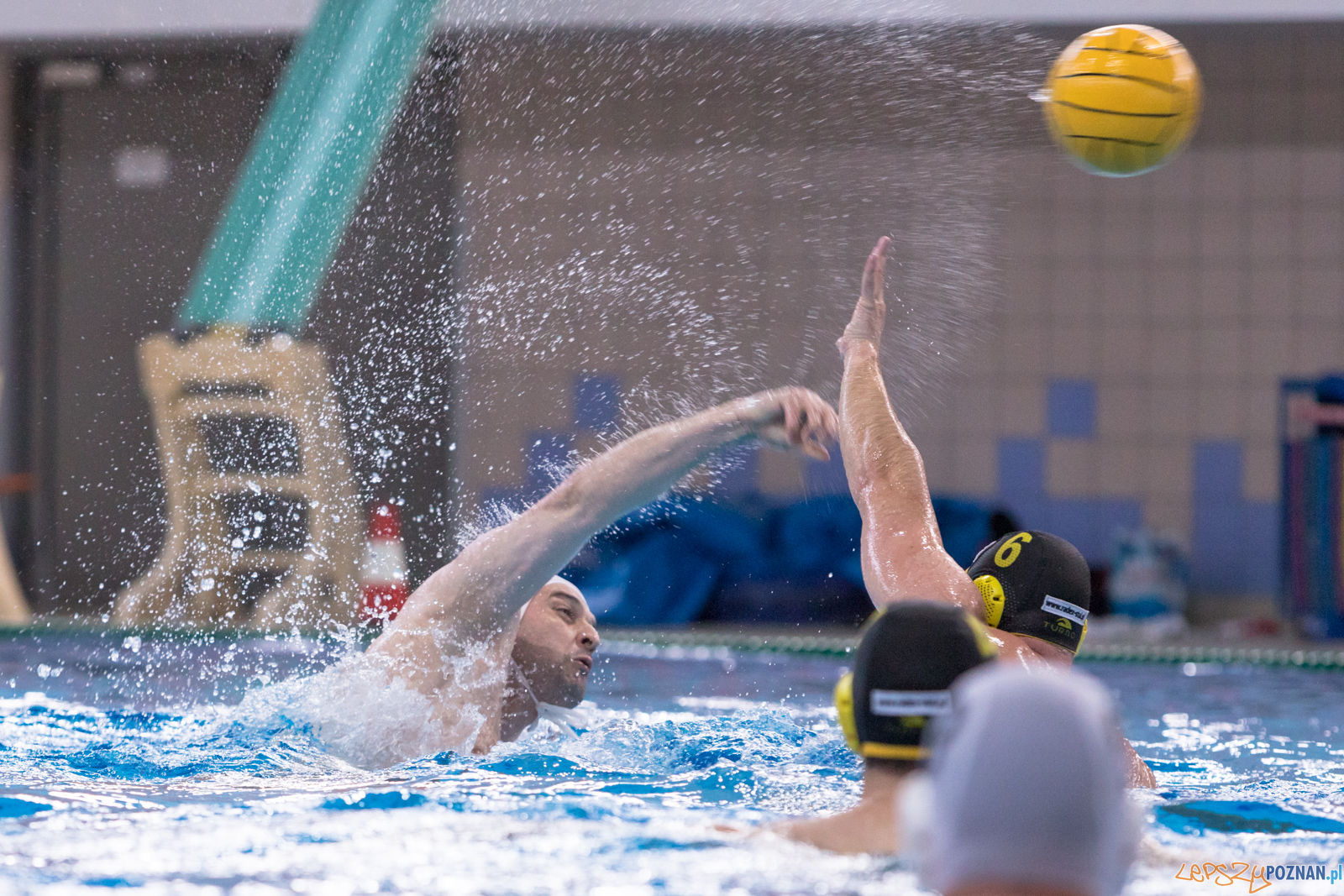 KS Waterpolo Poznań – ŁUKOSZ WTS Polonia Bytom Foto: lepszyPOZNAN.pl/Piotr Rychter KS Waterpolo Poznań – ŁUKOSZ WTS Polonia Bytom Foto: lepszyPOZNAN.pl/Piotr Rychter