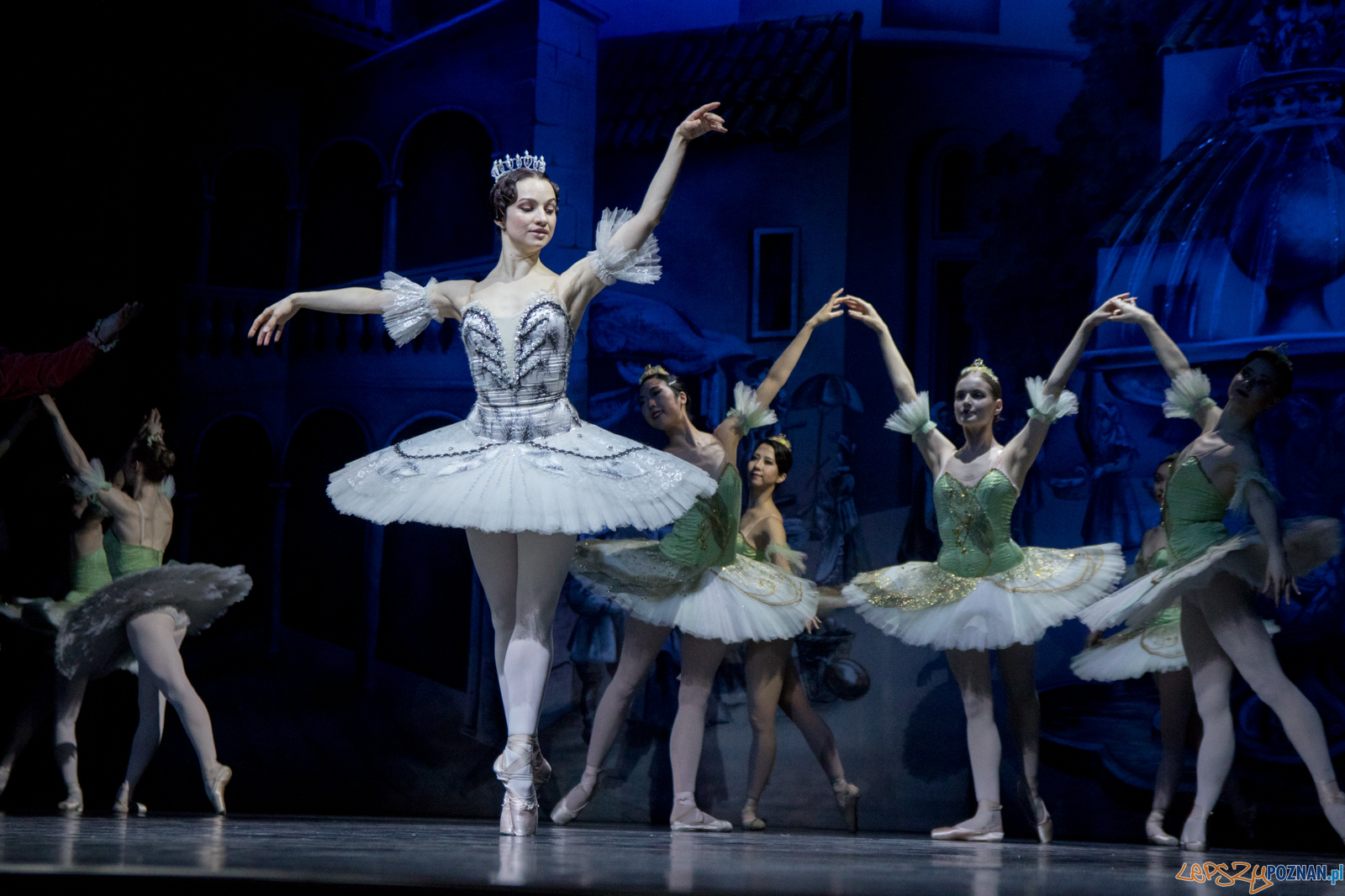 Don Kichot Foto: lepszyPOZNAN.pl / Ewelina Jaśkowiak Don Kichot Foto: lepszyPOZNAN.pl / Ewelina Jaśkowiak