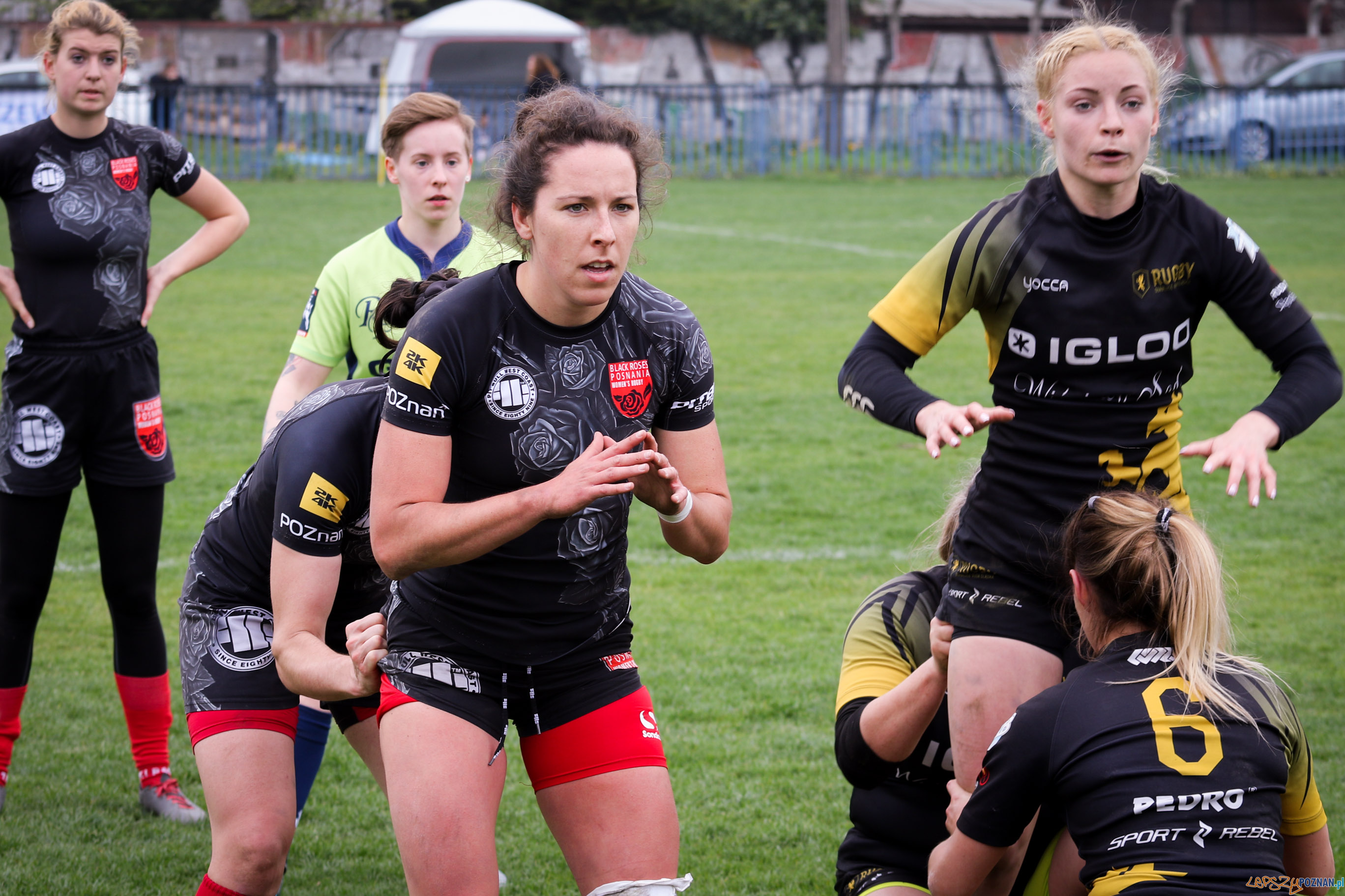 VI Turnieju Mistrzostw Polski Kobiet - Black Roses Posnania Foto: materiały prasowe VI Turnieju Mistrzostw Polski Kobiet - Black Roses Posnania Foto: materiały prasowe