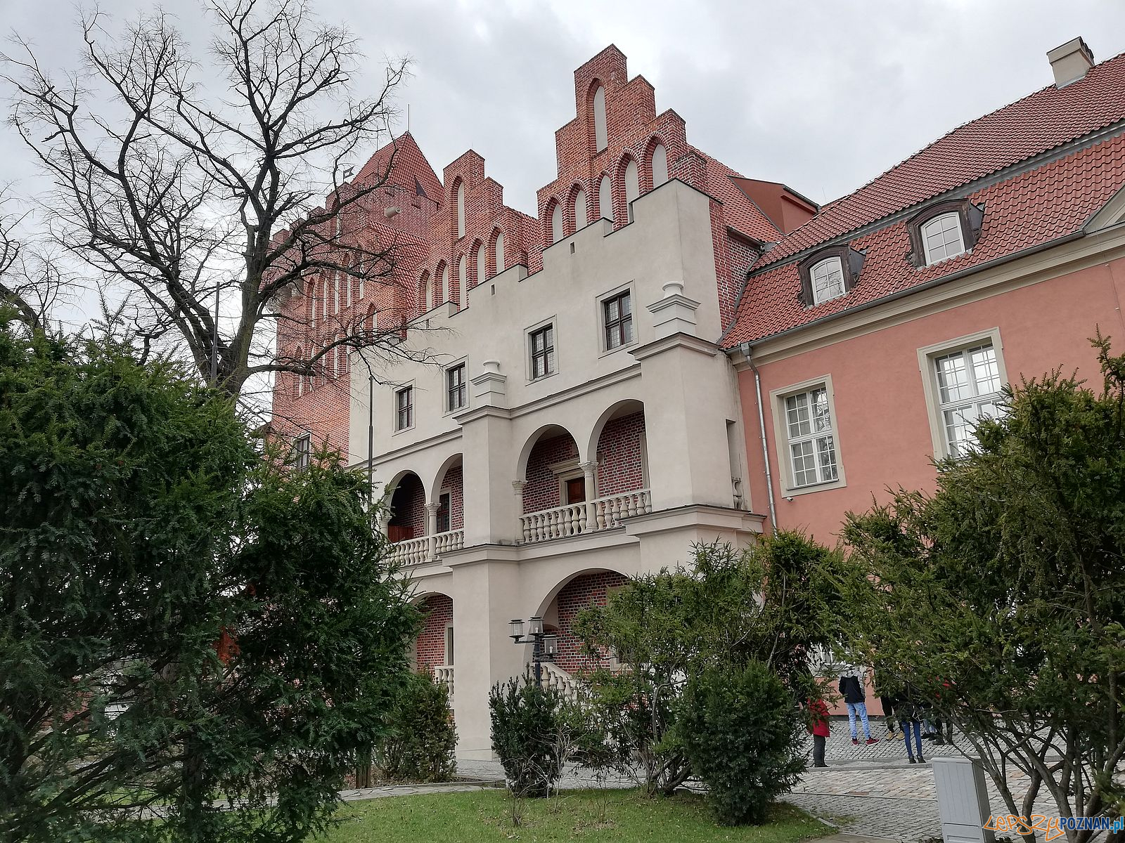 Wzgórze Przemysła - zamek  Foto: Tomasz Dworek