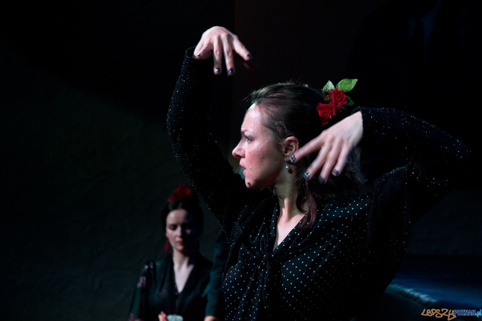 Entre Flamencos – koncert muzyki i tańca flamenco Foto: lepszyPOZNAN.pl / Ewelina Jaśkowiak Entre Flamencos – koncert muzyki i tańca flamenco Foto: lepszyPOZNAN.pl / Ewelina Jaśkowiak