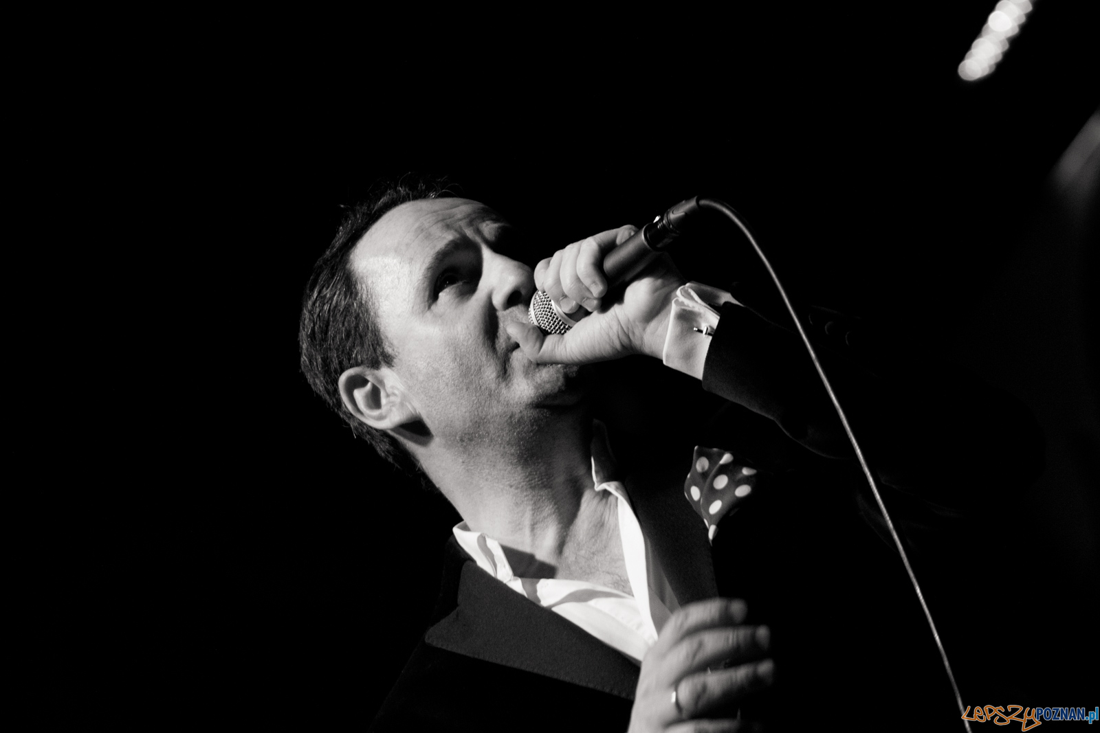 Chris Schittulli śpiewa Aznavoura Foto: lepszyPOZNAN.pl / Ewelina Jaśkowiak Chris Schittulli śpiewa Aznavoura Foto: lepszyPOZNAN.pl / Ewelina Jaśkowiak