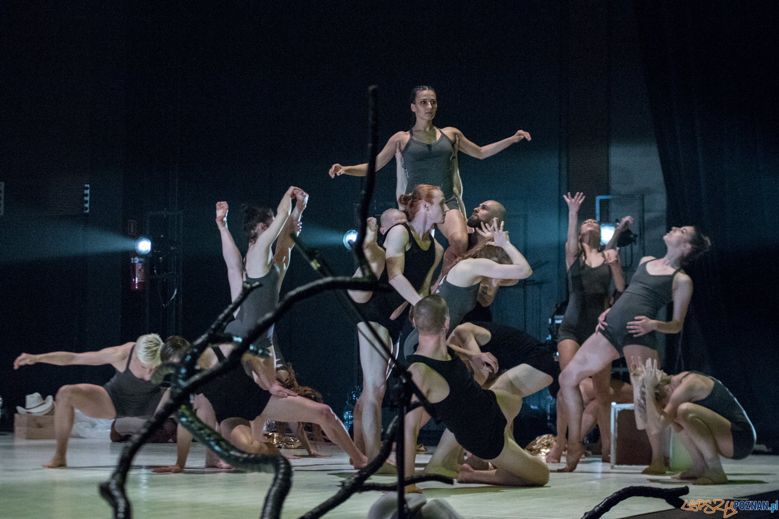 Polski Teatr Tańca - Obiecana Ziemia Obiecana Foto: Ewelina Jaskowiak Polski Teatr Tańca - Obiecana Ziemia Obiecana Foto: Ewelina Jaskowiak