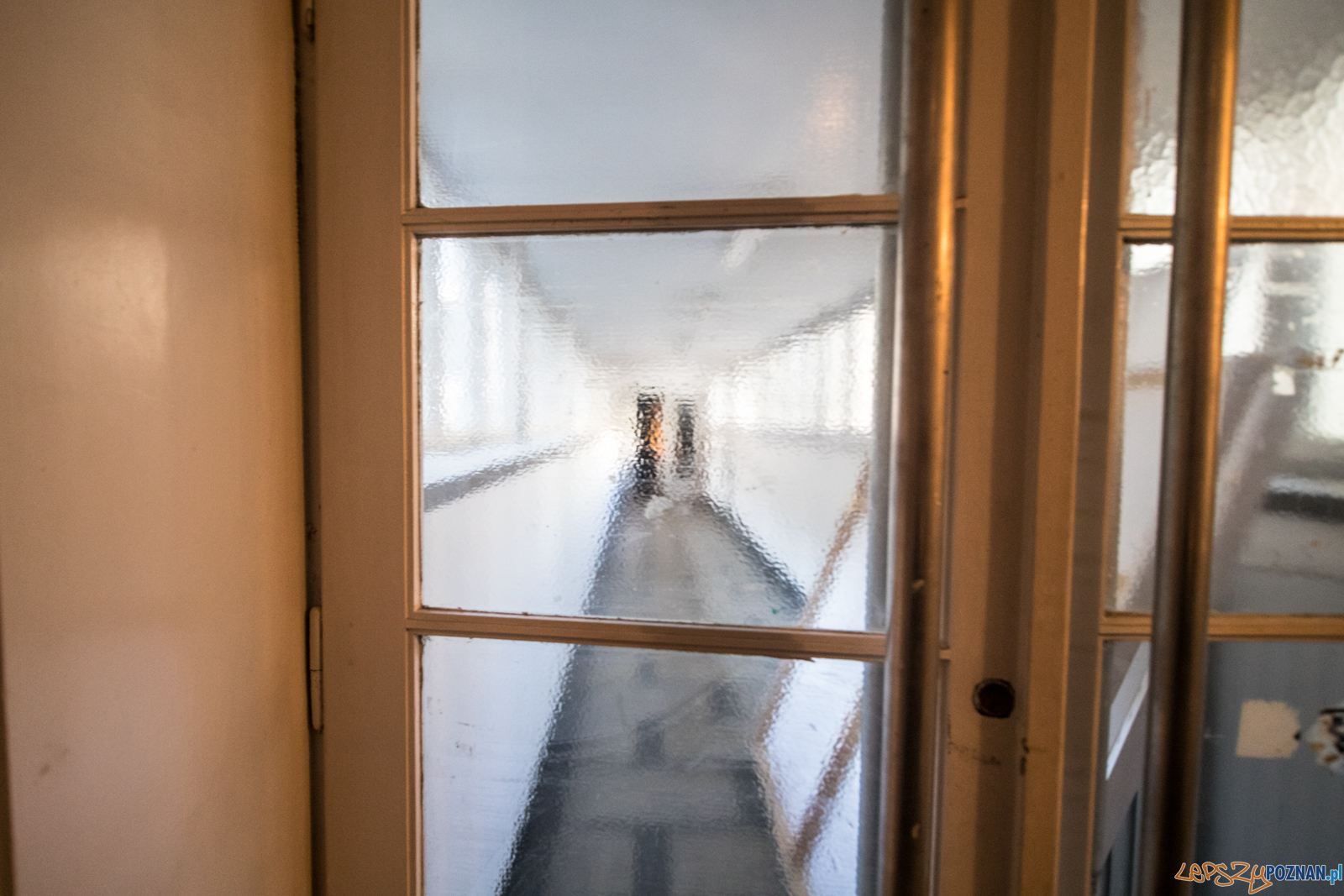 Noc Muzeów 2019 Foto: lepszyPOZNAN.pl/Piotr Rychter Noc Muzeów 2019 Foto: lepszyPOZNAN.pl/Piotr Rychter