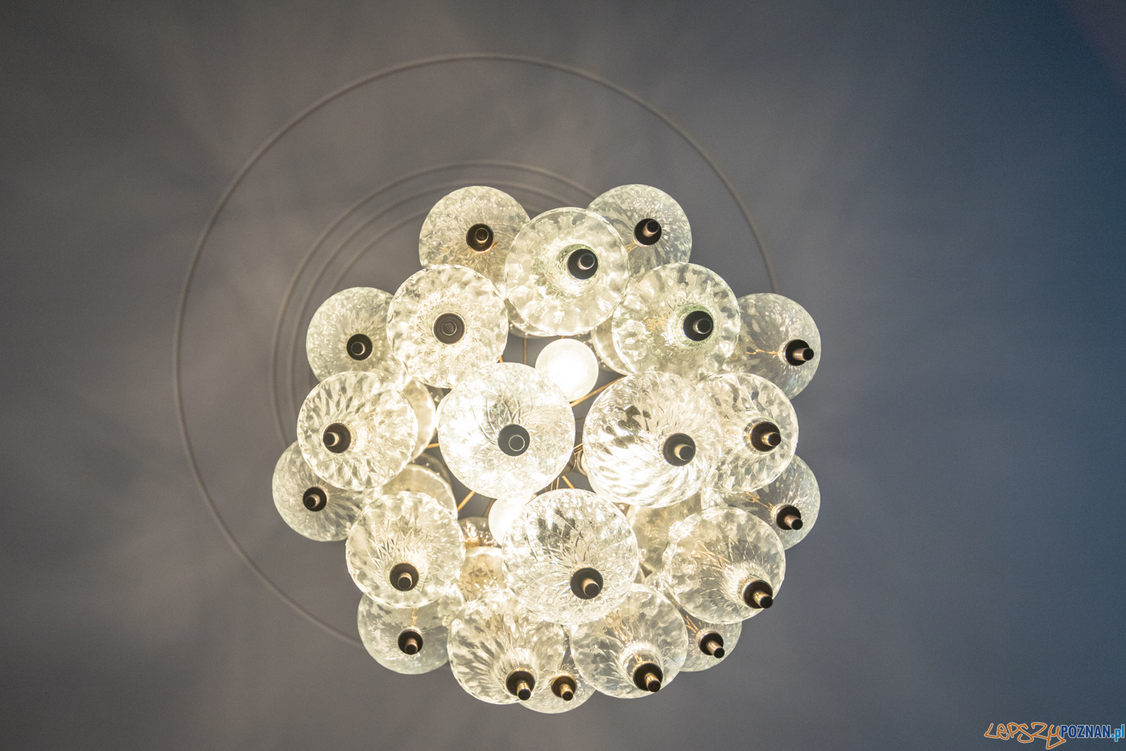 Noc Muzeów 2019 Foto: lepszyPOZNAN.pl/Piotr Rychter Noc Muzeów 2019 Foto: lepszyPOZNAN.pl/Piotr Rychter