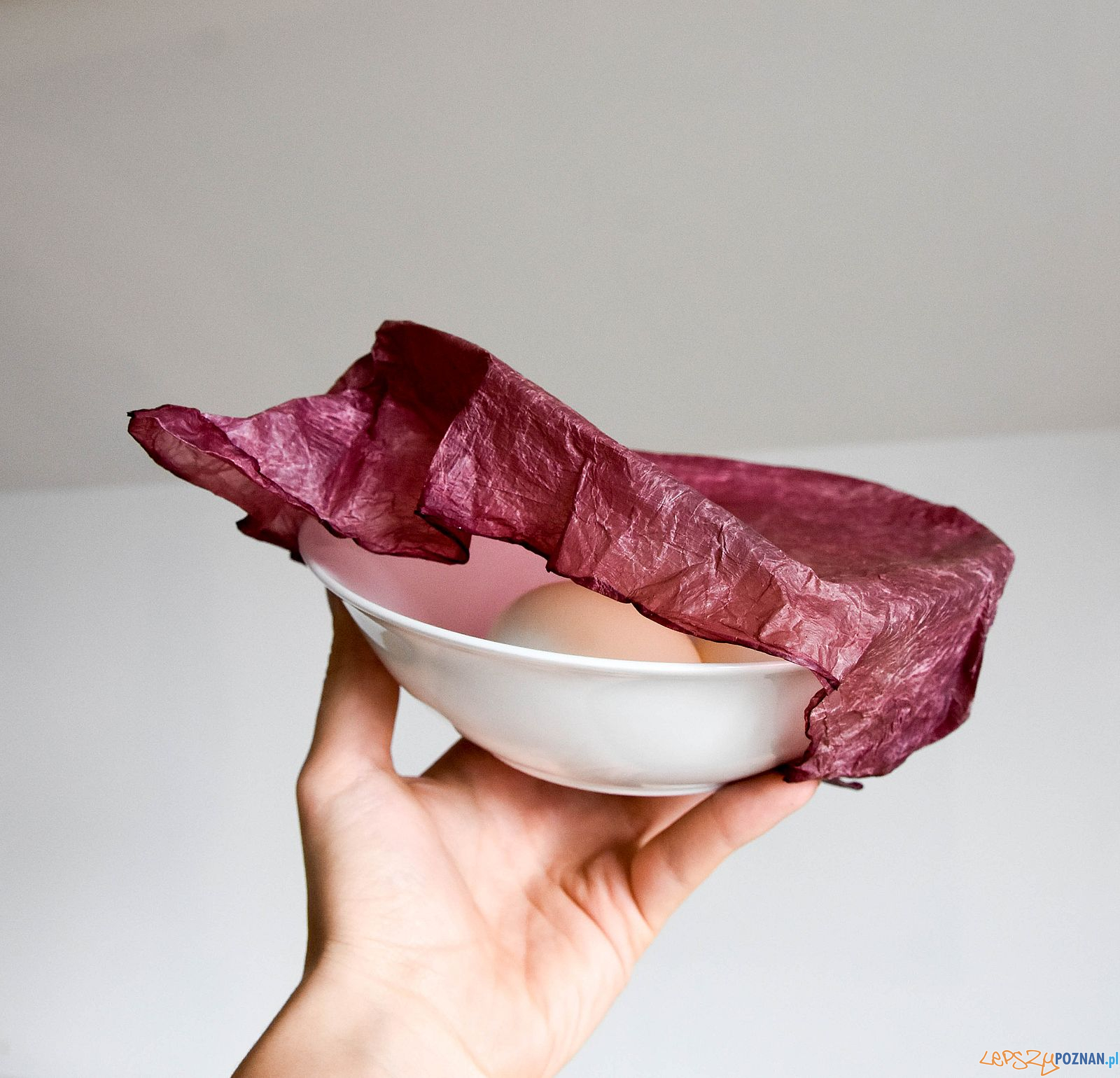 Wystawa microSYSTEMS_SCOBY jadalne opakowania Foto: Poznań Design Festiwal Wystawa microSYSTEMS_SCOBY jadalne opakowania Foto: Poznań Design Festiwal