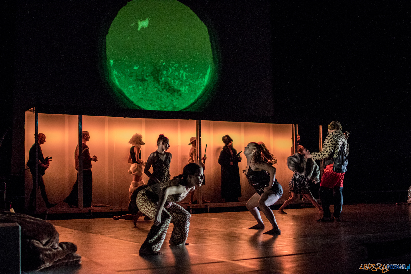 Polski Teatr Tańca - Obiecana Ziemia Obiecana Foto: Ewelina Jaskowiak Polski Teatr Tańca - Obiecana Ziemia Obiecana Foto: Ewelina Jaskowiak
