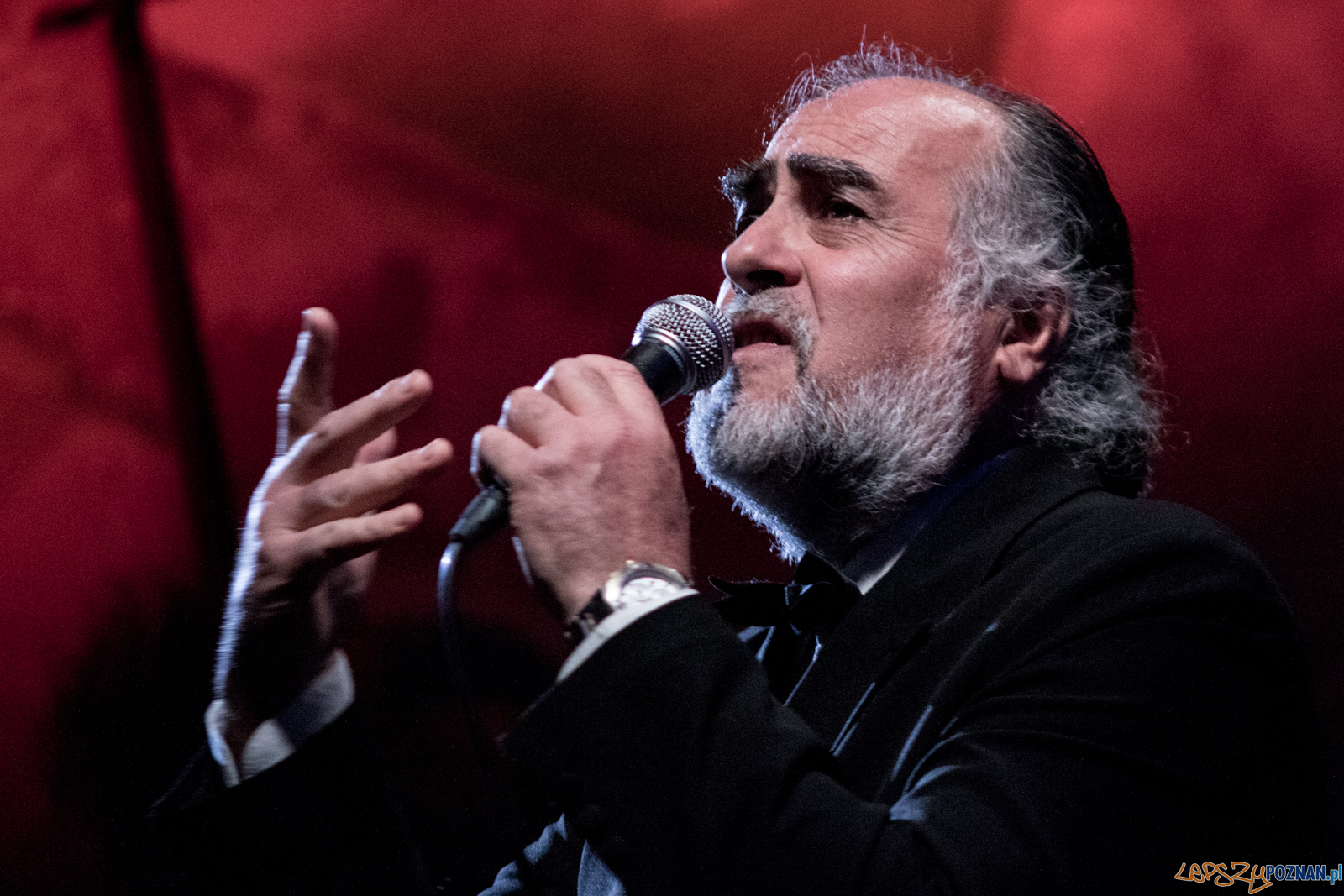 SanLuisTango Orquestra (Argentyna) Foto: lepszyPOZNAN.pl / Ewelina Jaśkowiak SanLuisTango Orquestra (Argentyna) Foto: lepszyPOZNAN.pl / Ewelina Jaśkowiak