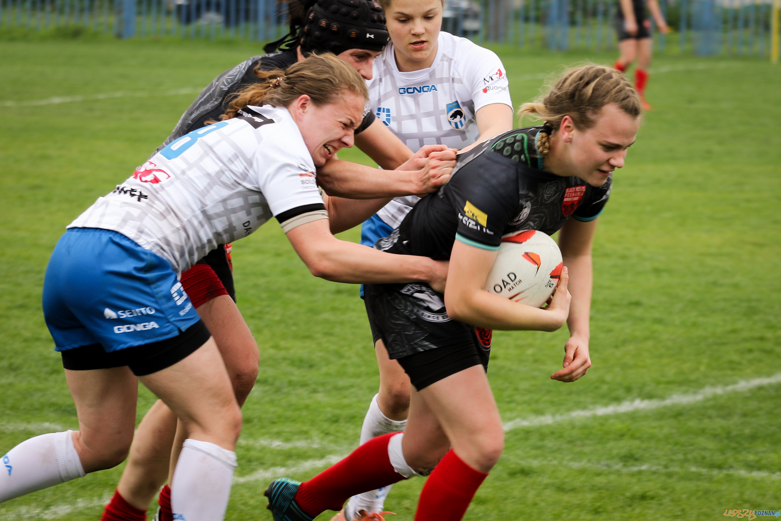 VI Turnieju Mistrzostw Polski Kobiet - Black Roses Posnania Foto: materiały prasowe VI Turnieju Mistrzostw Polski Kobiet - Black Roses Posnania Foto: materiały prasowe