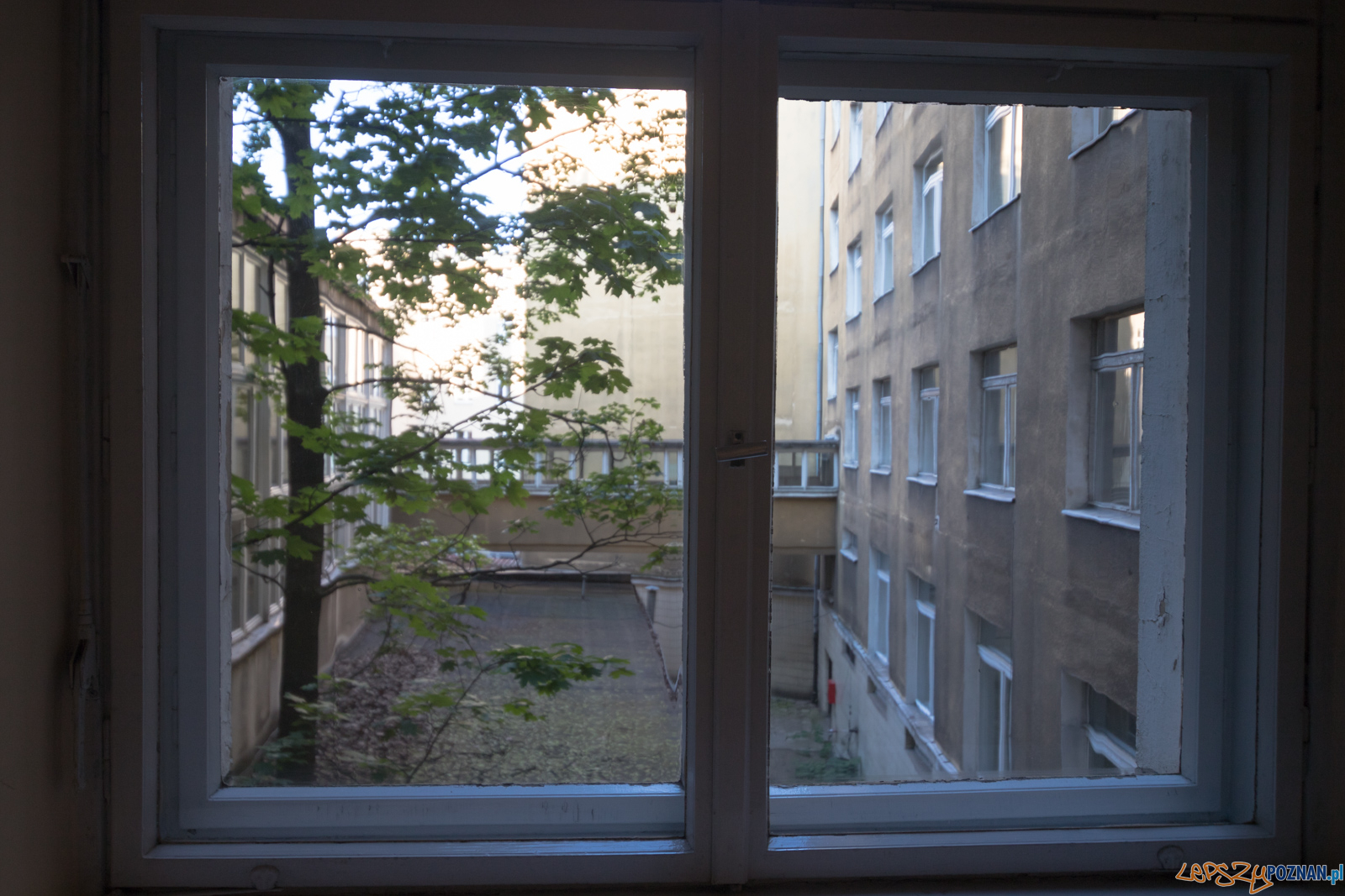 Noc Muzeów 2019 Foto: lepszyPOZNAN.pl/Piotr Rychter Noc Muzeów 2019 Foto: lepszyPOZNAN.pl/Piotr Rychter