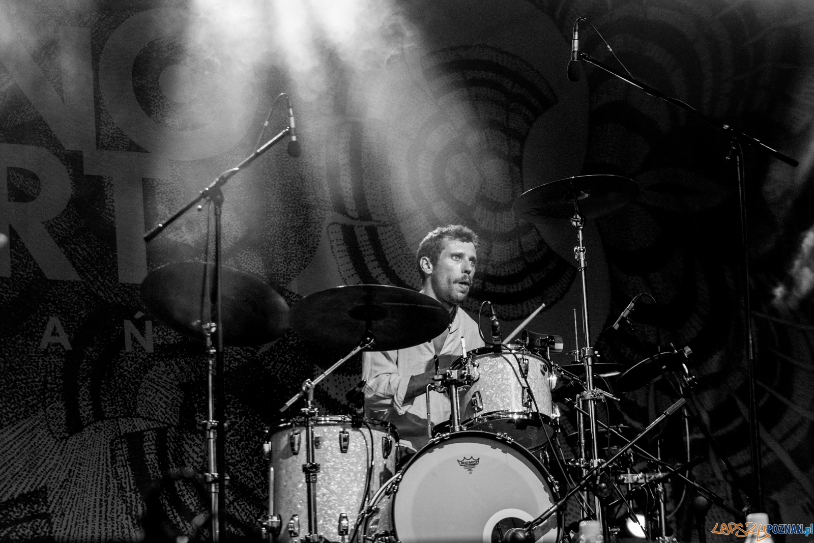 Ethno Port Festiwal 2019 Foto: lepszyPOZNAN.pl / Ewelina Jaśkowiak Ethno Port Festiwal 2019 Foto: lepszyPOZNAN.pl / Ewelina Jaśkowiak