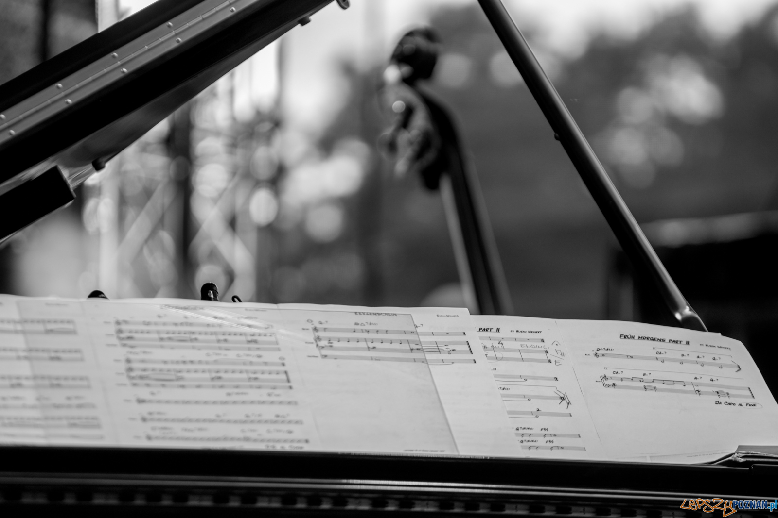 Enter Enea Festival 2019 Foto: lepszyPOZNAN.pl / Ewelina Jaśkowiak Enter Enea Festival 2019 Foto: lepszyPOZNAN.pl / Ewelina Jaśkowiak