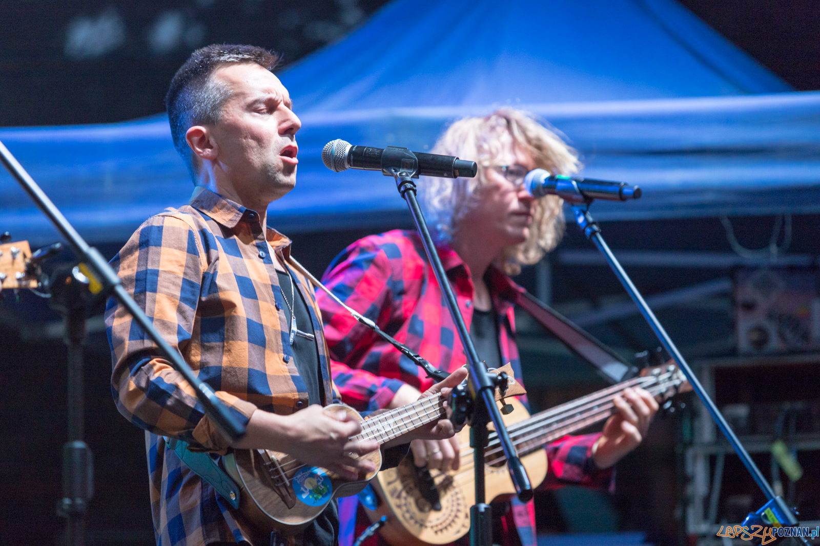 Cały Poznań Ukulele Foto: lepszyPOZNAN.pl/Piotr Rychter Cały Poznań Ukulele Foto: lepszyPOZNAN.pl/Piotr Rychter