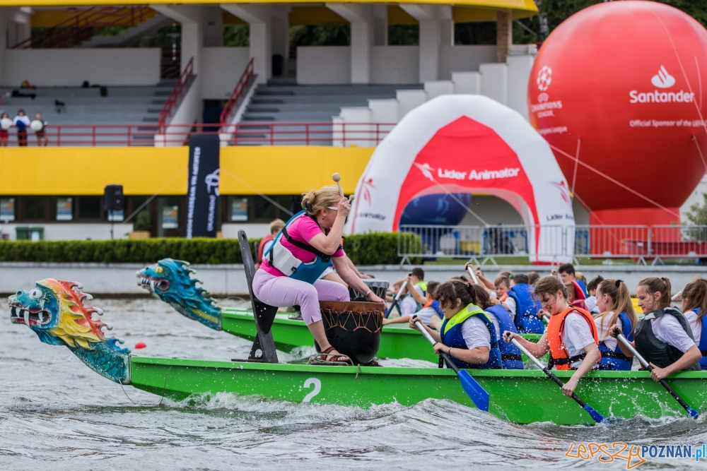 Poznanskie Dragony 2019 - smocze łodzie-6 Foto: materiały prasowe Poznanskie Dragony 2019 - smocze łodzie-6 Foto: materiały prasowe
