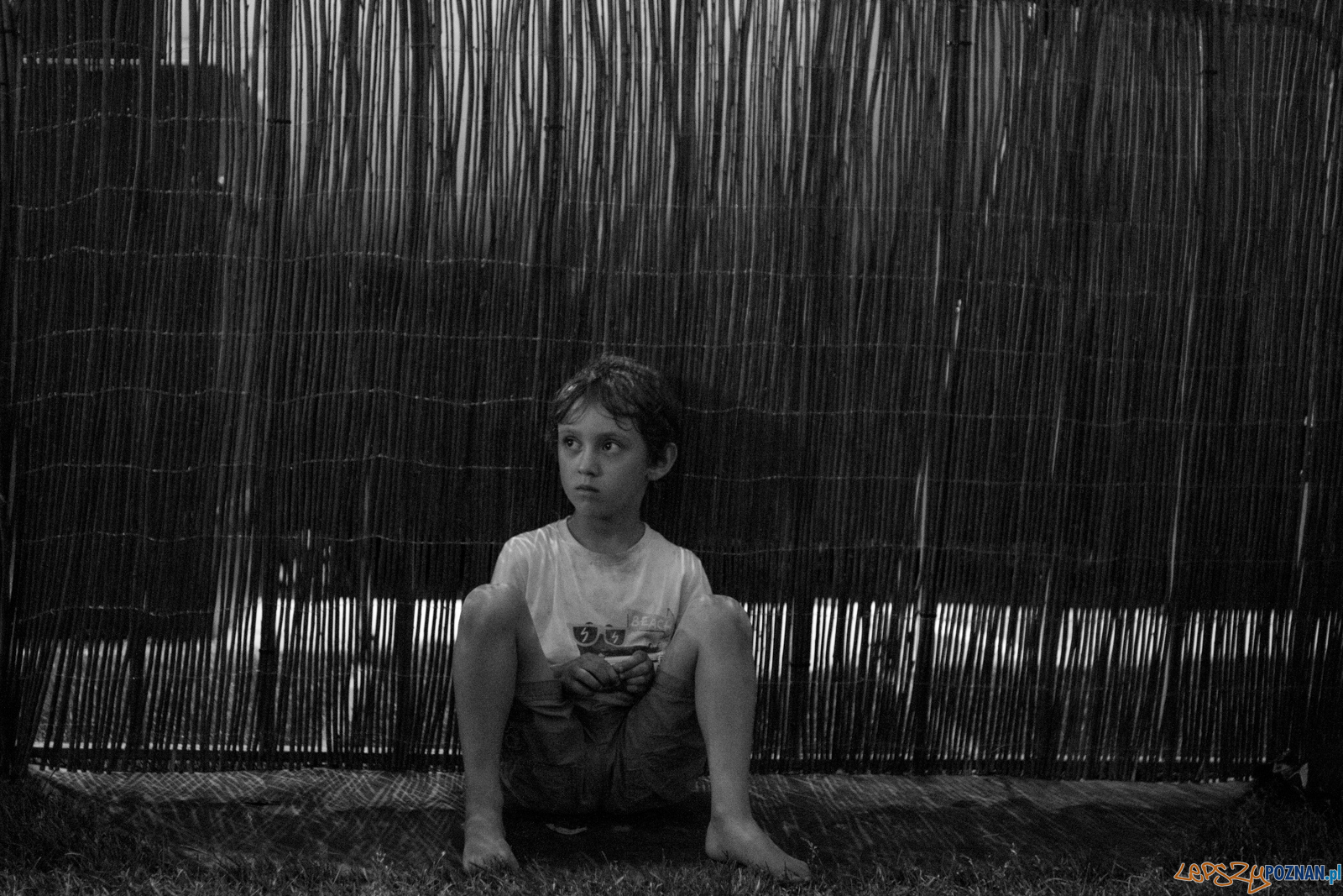 Ethno Port Festiwal 2019 Foto: lepszyPOZNAN.pl / Ewelina Jaśkowiak Ethno Port Festiwal 2019 Foto: lepszyPOZNAN.pl / Ewelina Jaśkowiak