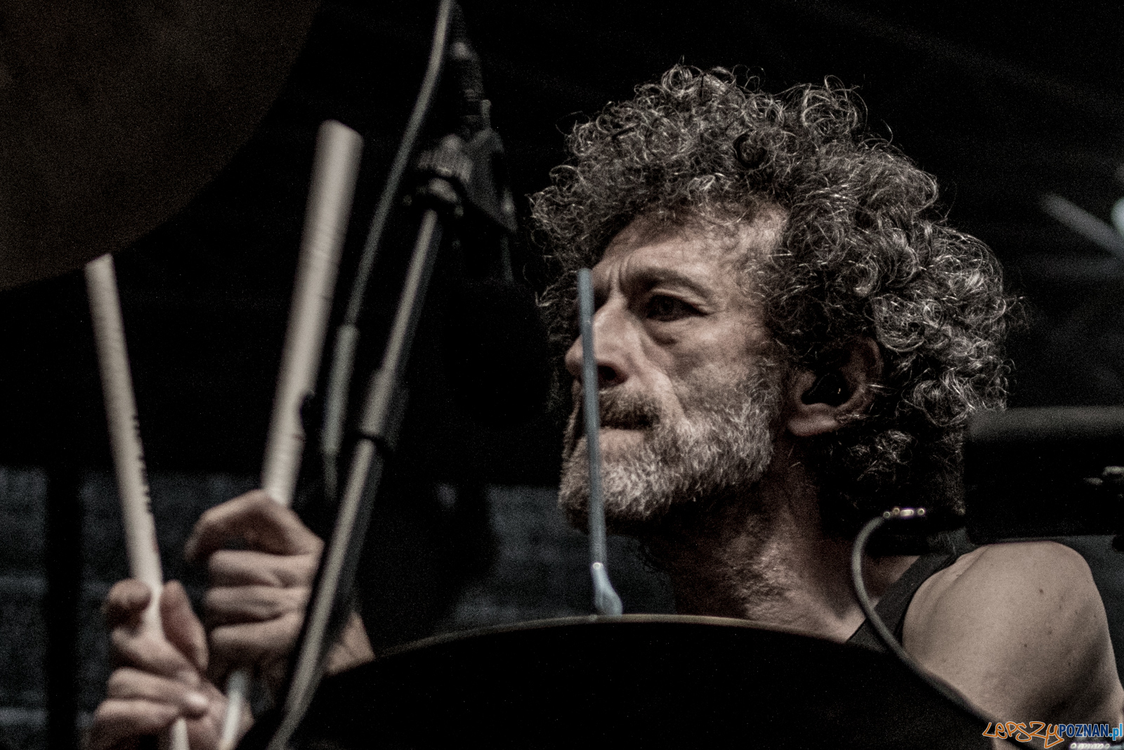 DA-6459 Foto: Ewelina Jaskowiak DA-6459 Foto: Ewelina Jaskowiak