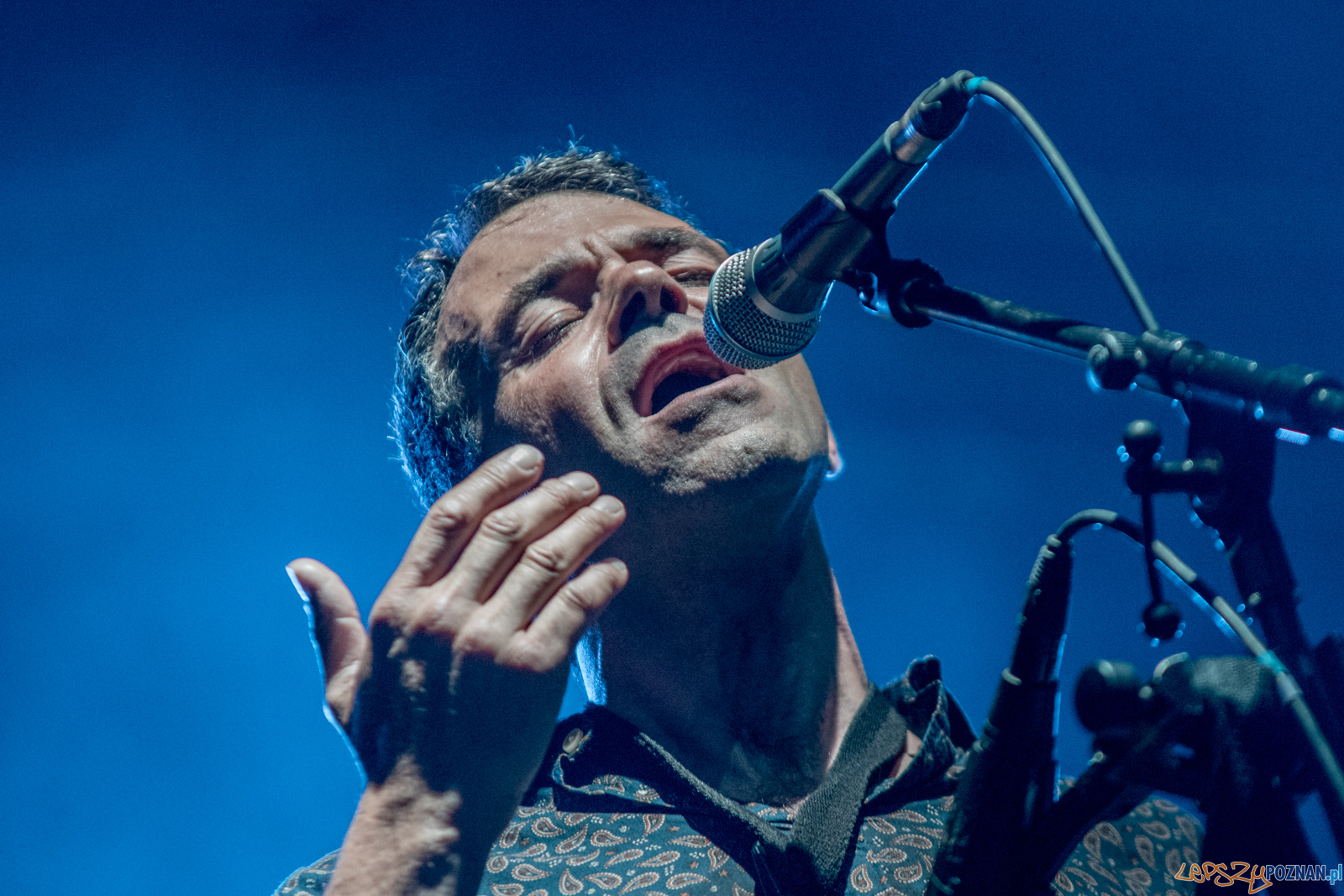 Ethno Port Festiwal 2019 Foto: lepszyPOZNAN.pl / Ewelina Jaśkowiak Ethno Port Festiwal 2019 Foto: lepszyPOZNAN.pl / Ewelina Jaśkowiak