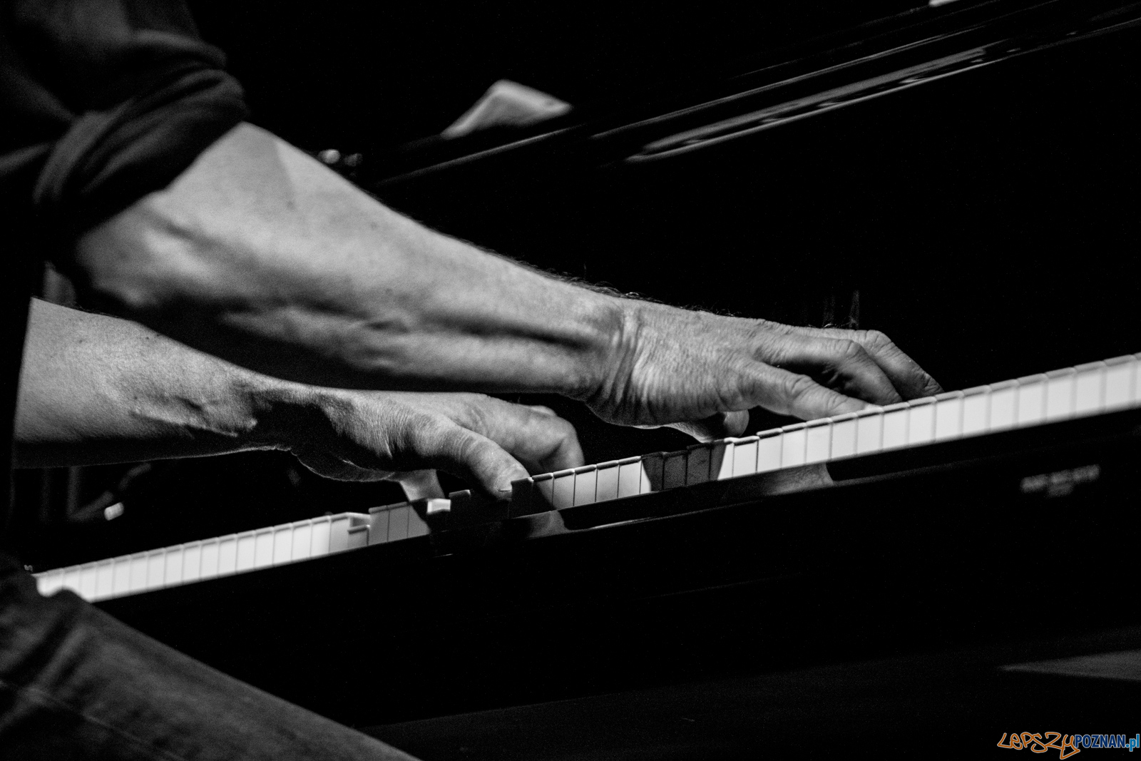 Enter Enea Festival 2019 Foto: lepszyPOZNAN.pl / Ewelina Jaśkowiak Enter Enea Festival 2019 Foto: lepszyPOZNAN.pl / Ewelina Jaśkowiak