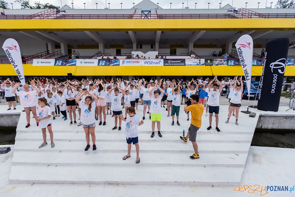 Poznanskie Dragony 2019 - smocze łodzie Foto: Poznanskie Dragony 2019 - smocze łodzie Foto: