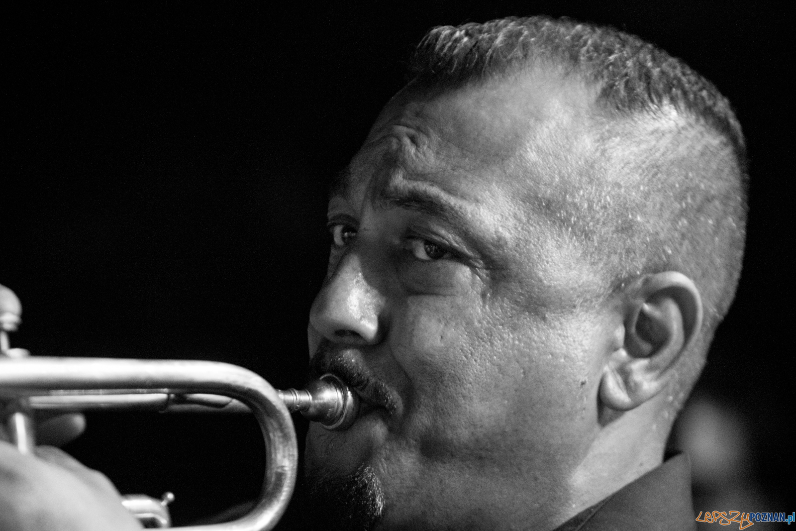 Enter Enea Festival 2019 Foto: lepszyPOZNAN.pl / Ewelina Jaśkowiak Enter Enea Festival 2019 Foto: lepszyPOZNAN.pl / Ewelina Jaśkowiak