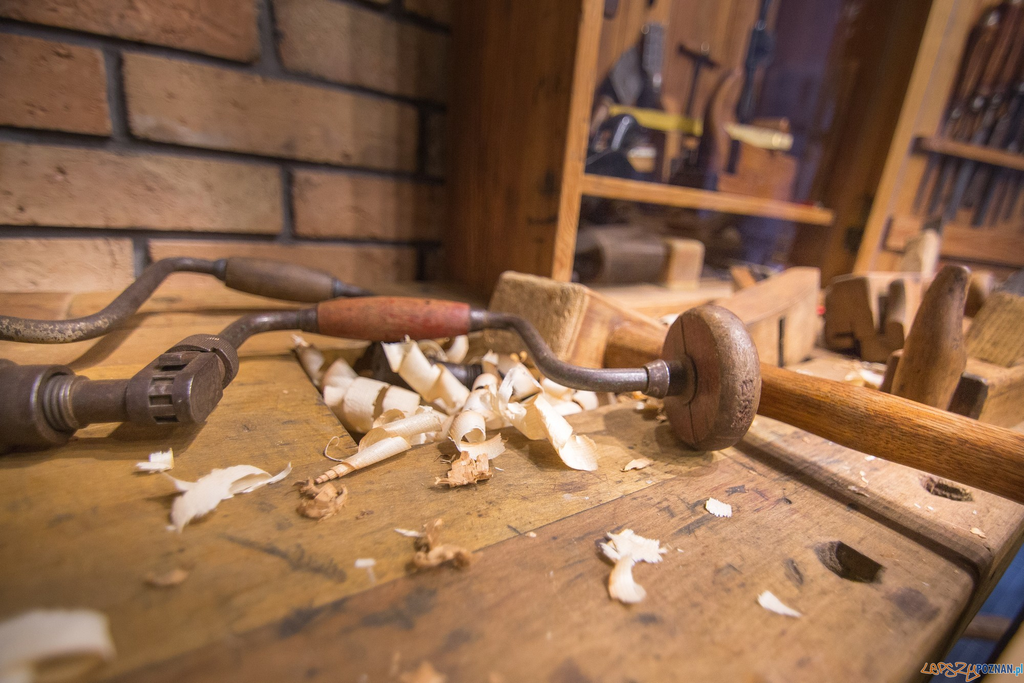 Narzйdzia stolarskie na ekspozycji Swarzйdzkiego Centrum Historii i Sztuki (fot. Jakub Pindych PLOT) Foto: materiały prasowe PLOT Narzйdzia stolarskie na ekspozycji Swarzйdzkiego Centrum Historii i Sztuki (fot. Jakub Pindych PLOT) Foto: materiały prasowe PLOT