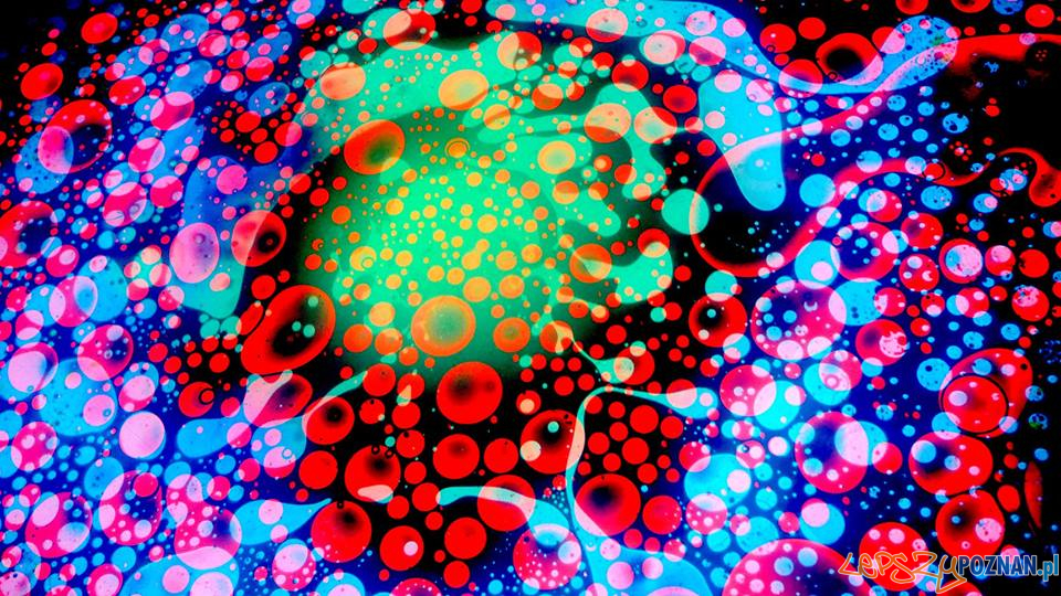 Festiwal Światła Foto: materiały prasowe Festiwal Światła Foto: materiały prasowe