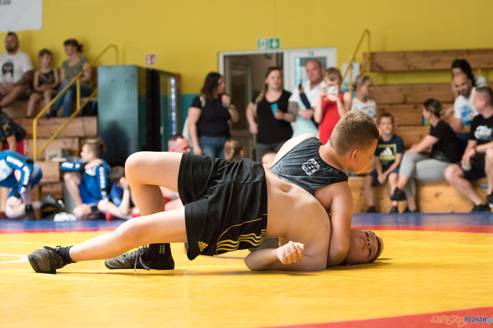 Zawody w SIłowaniu i Zapasach z okazji Dnia Dziecka Foto: lepszyPOZNAN.pl/Piotr Rychter Zawody w SIłowaniu i Zapasach z okazji Dnia Dziecka Foto: lepszyPOZNAN.pl/Piotr Rychter