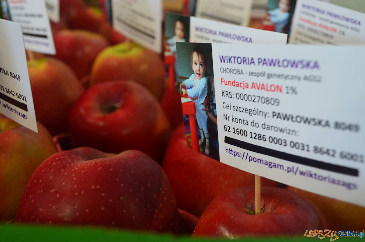 Koncert dla Wiktorii Foto: materiały informacyjne Koncert dla Wiktorii Foto: materiały informacyjne