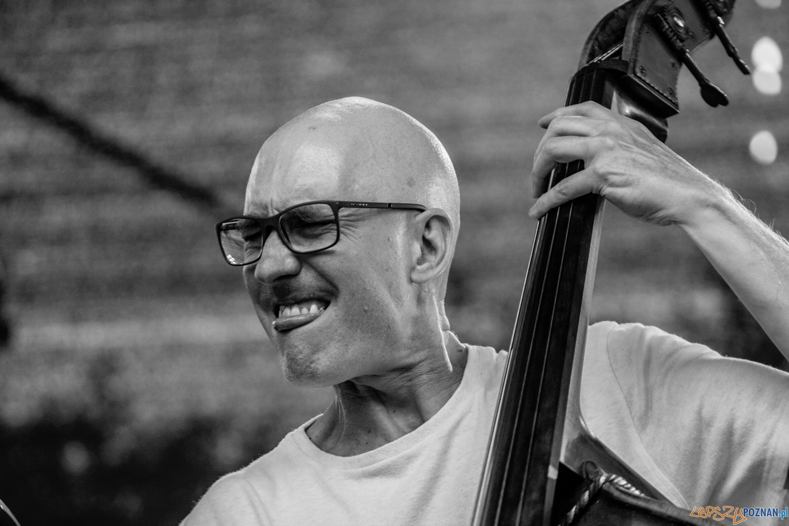 Enter Enea Festival 2019 Foto: lepszyPOZNAN.pl / Ewelina Jaśkowiak Enter Enea Festival 2019 Foto: lepszyPOZNAN.pl / Ewelina Jaśkowiak