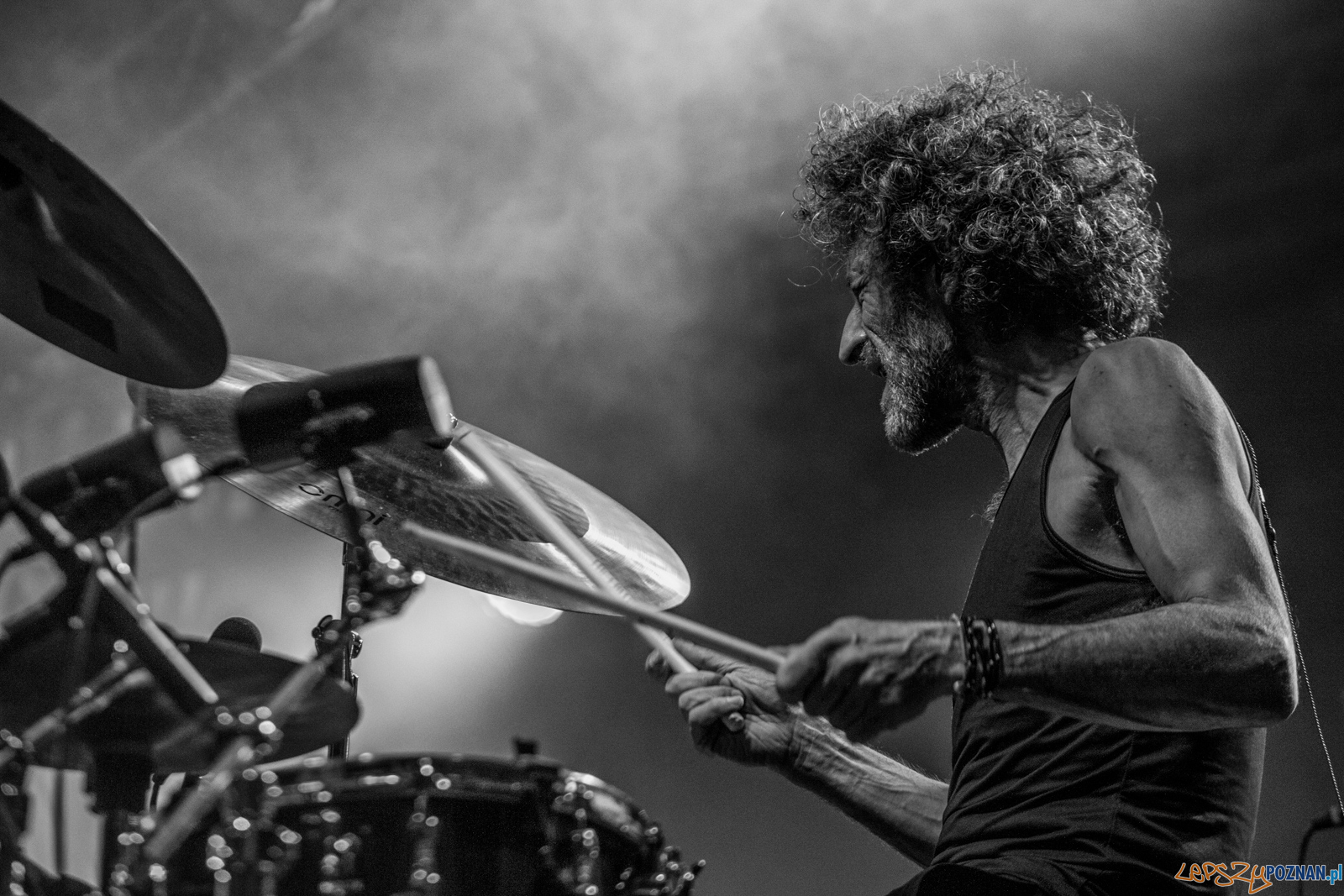 Enter Enea Festival 2019 Foto: lepszyPOZNAN.pl / Ewelina Jaśkowiak Enter Enea Festival 2019 Foto: lepszyPOZNAN.pl / Ewelina Jaśkowiak