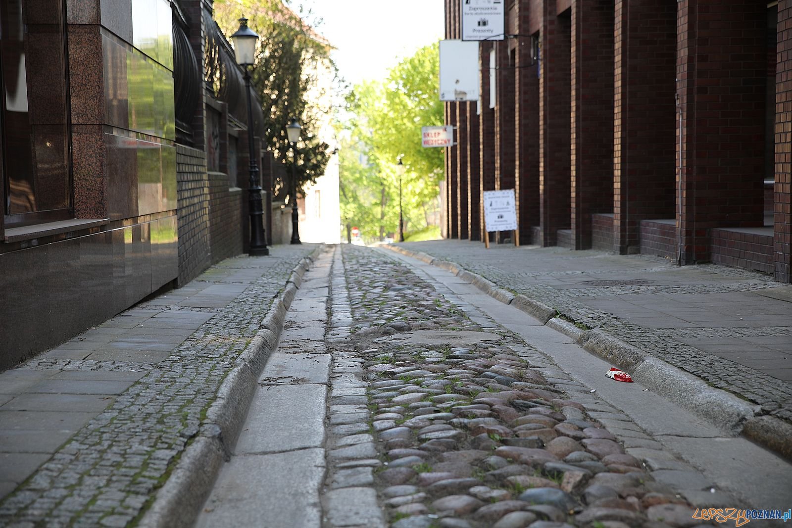 Wysoka Foto: Tomasz Dworek Wysoka Foto: Tomasz Dworek