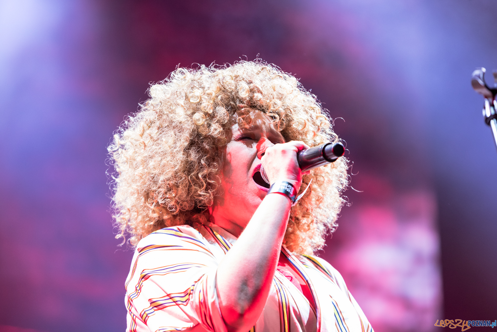 Męskie Granie 2019 - Męskie Granie Orkiestra Foto: lepszyPOZNAN.pl/Piotr Rychter Męskie Granie 2019 - Męskie Granie Orkiestra Foto: lepszyPOZNAN.pl/Piotr Rychter